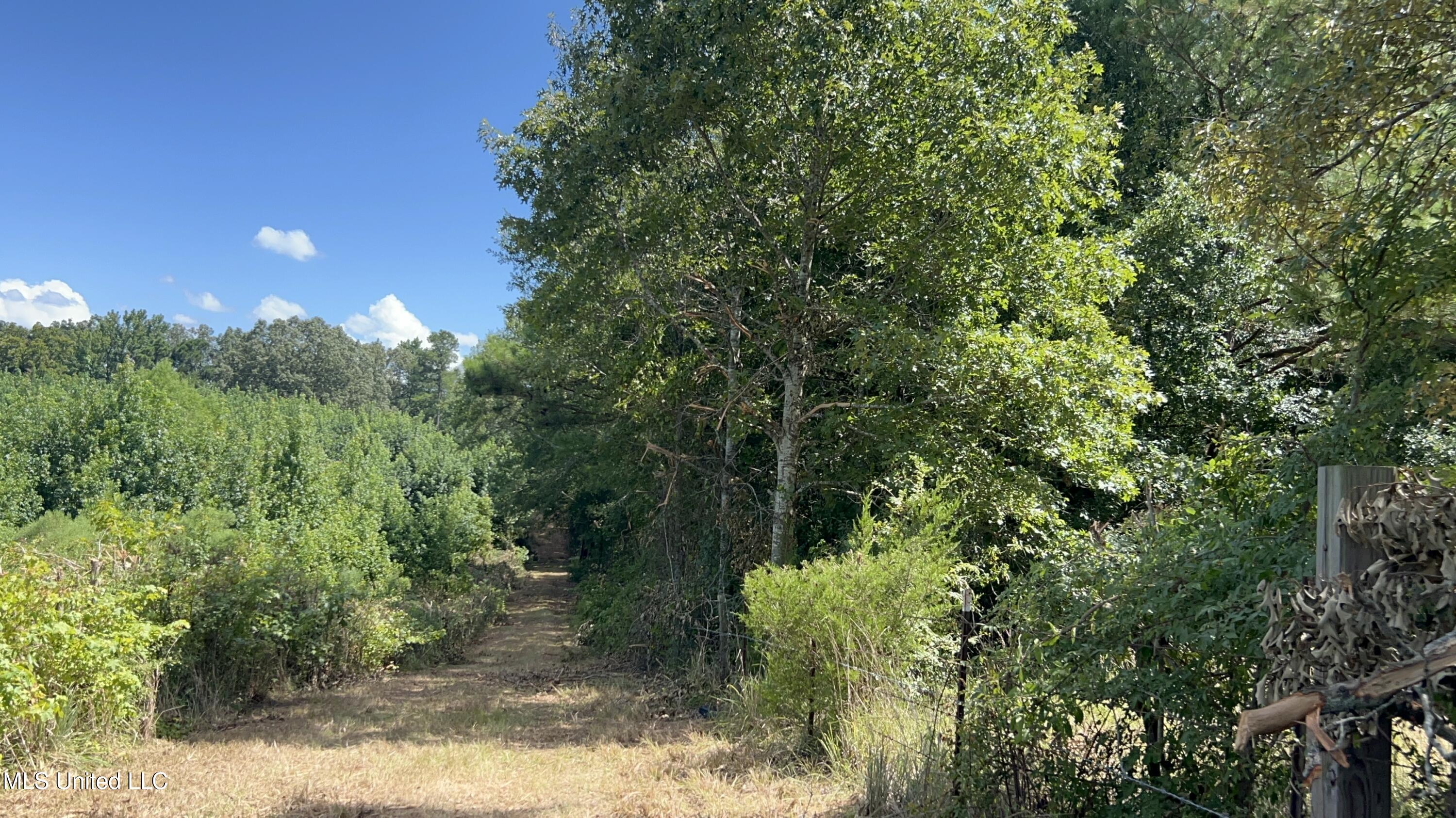 1 Farr Road Edwards, MS 39066 - Photo 17 of 135 IMG_2848