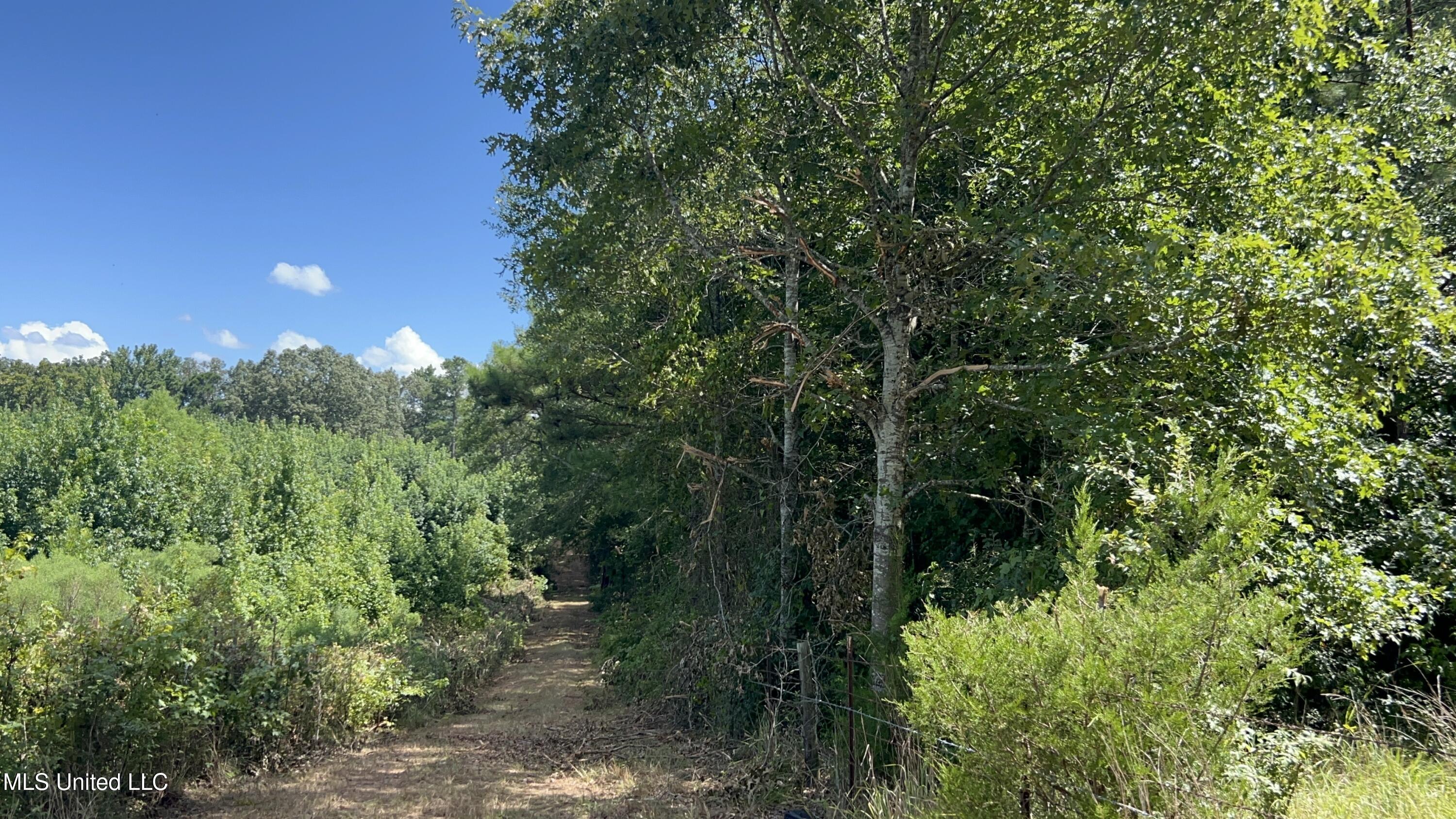 1 Farr Road Edwards, MS 39066 - Photo 18 of 135 IMG_2849