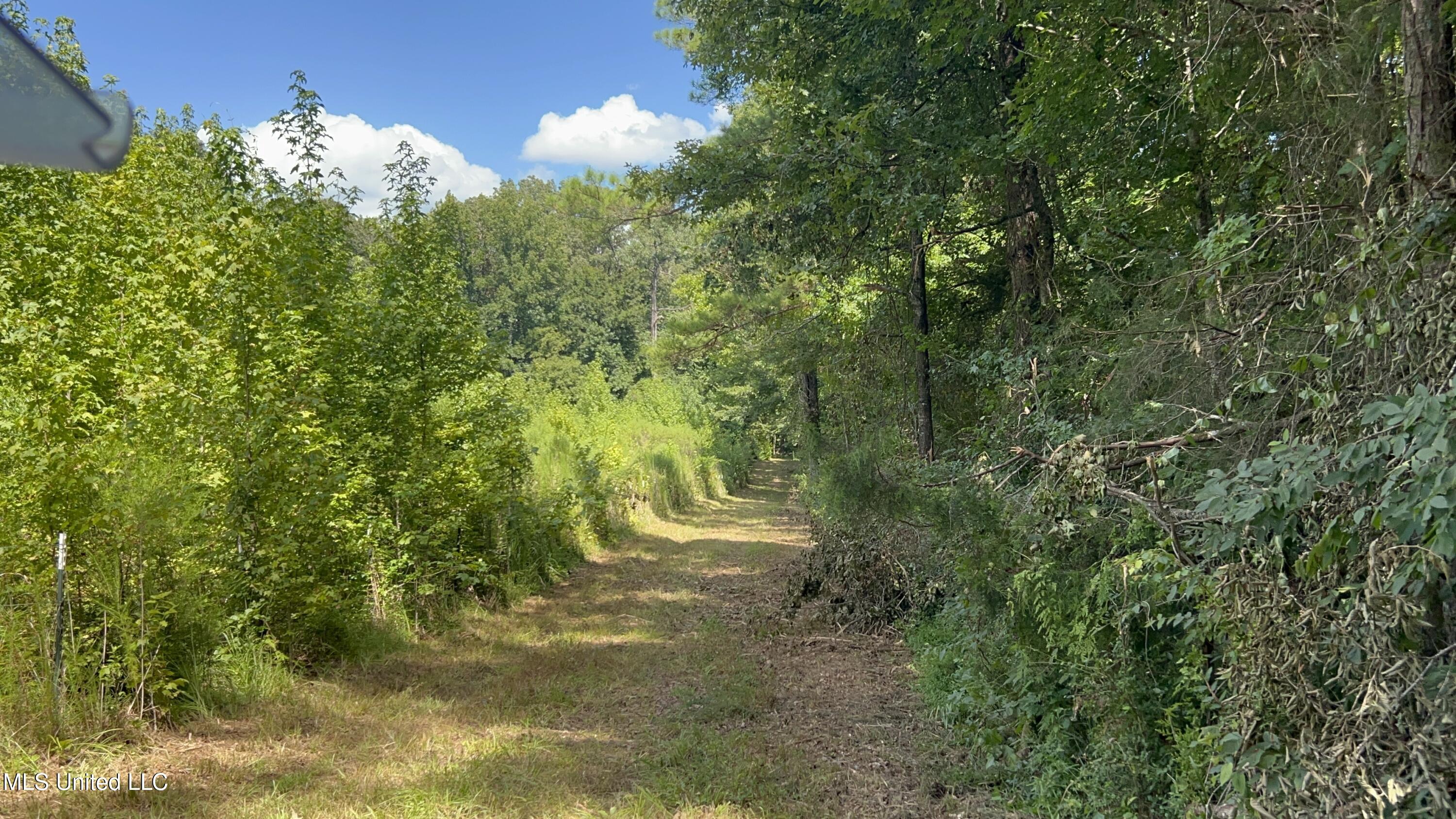 1 Farr Road Edwards, MS 39066 - Photo 19 of 135 IMG_2850