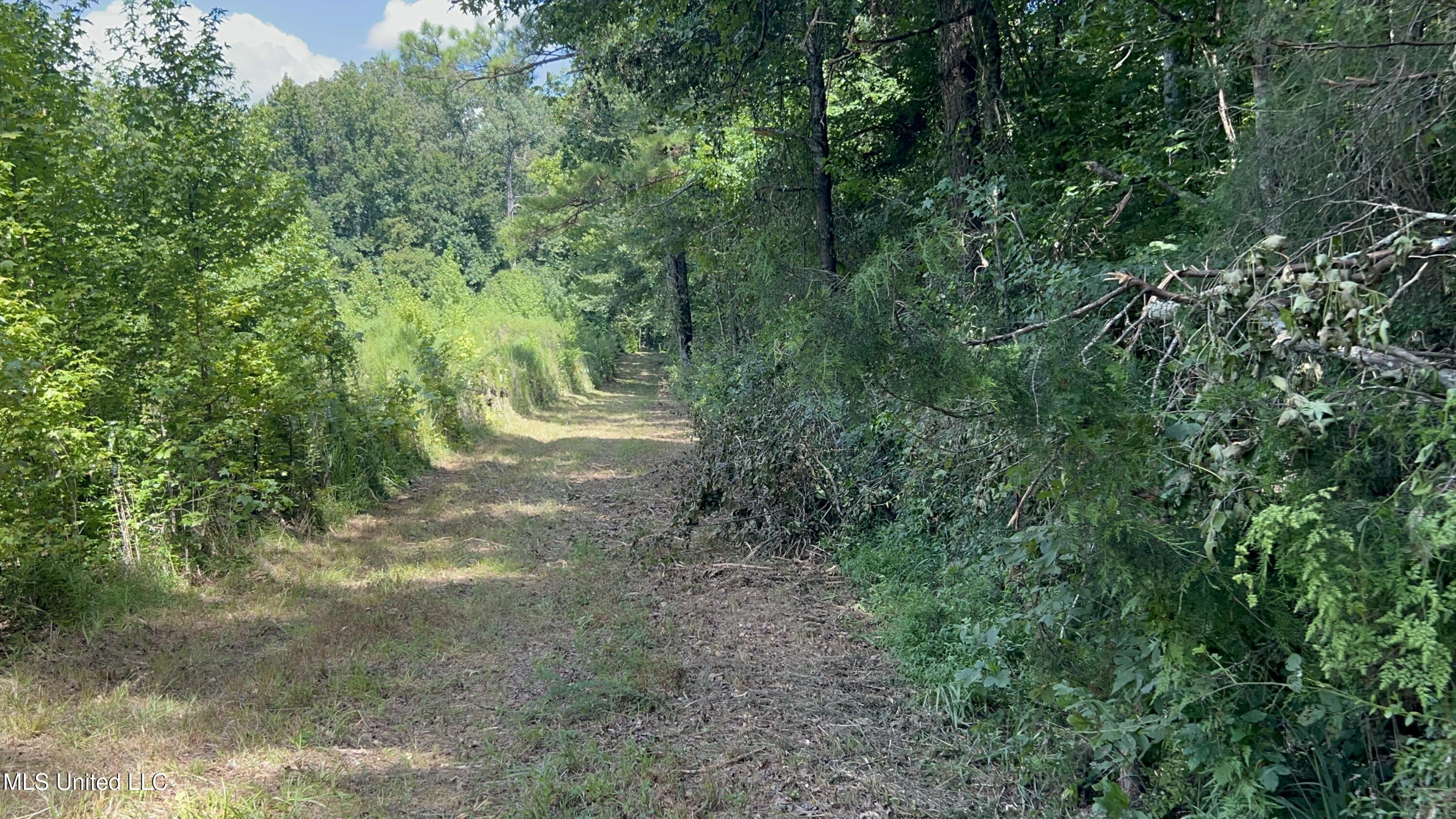 1 Farr Road Edwards, MS 39066 - Photo 20 of 135 IMG_2851