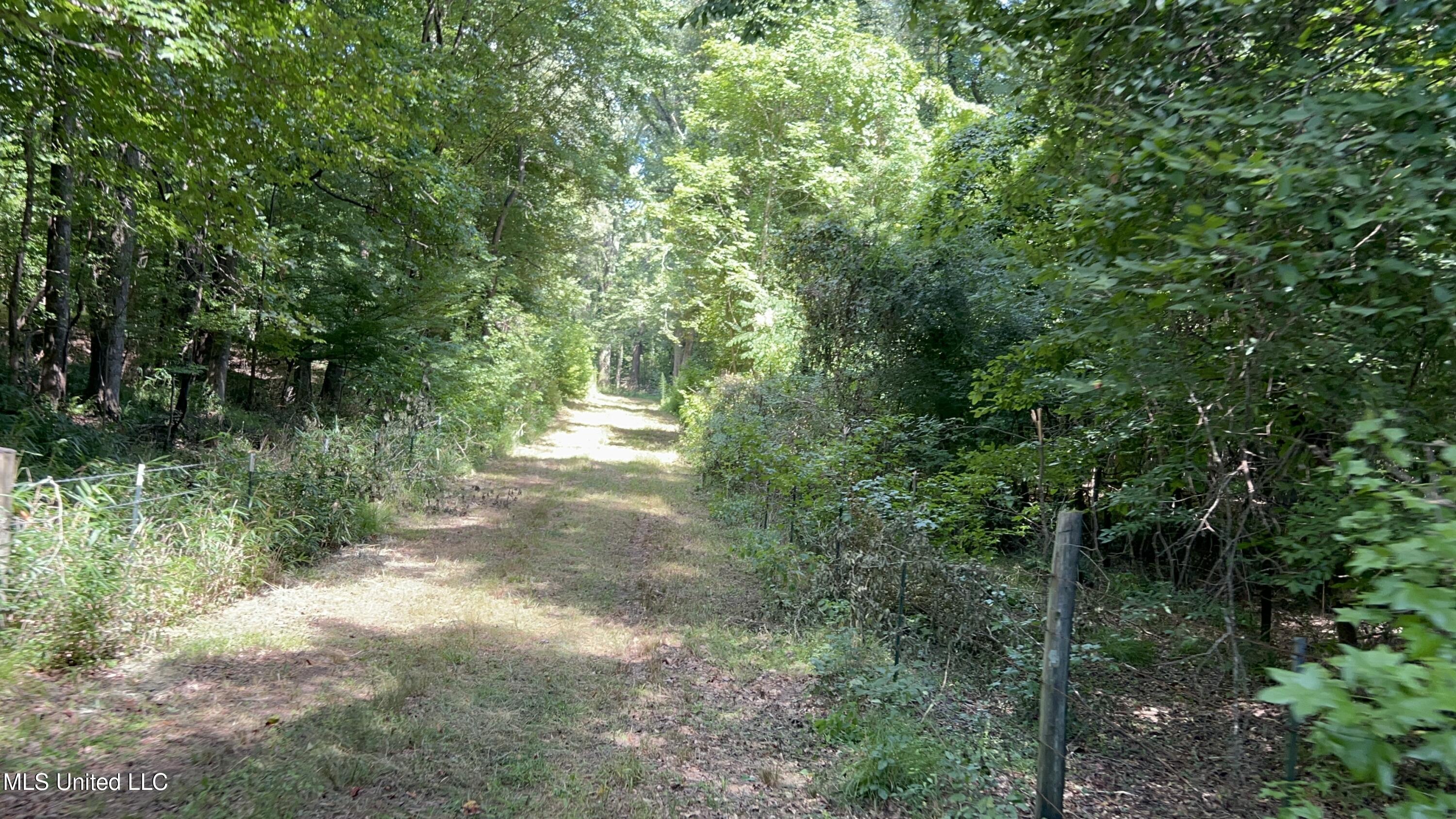 1 Farr Road Edwards, MS 39066 - Photo 21 of 135 IMG_2853