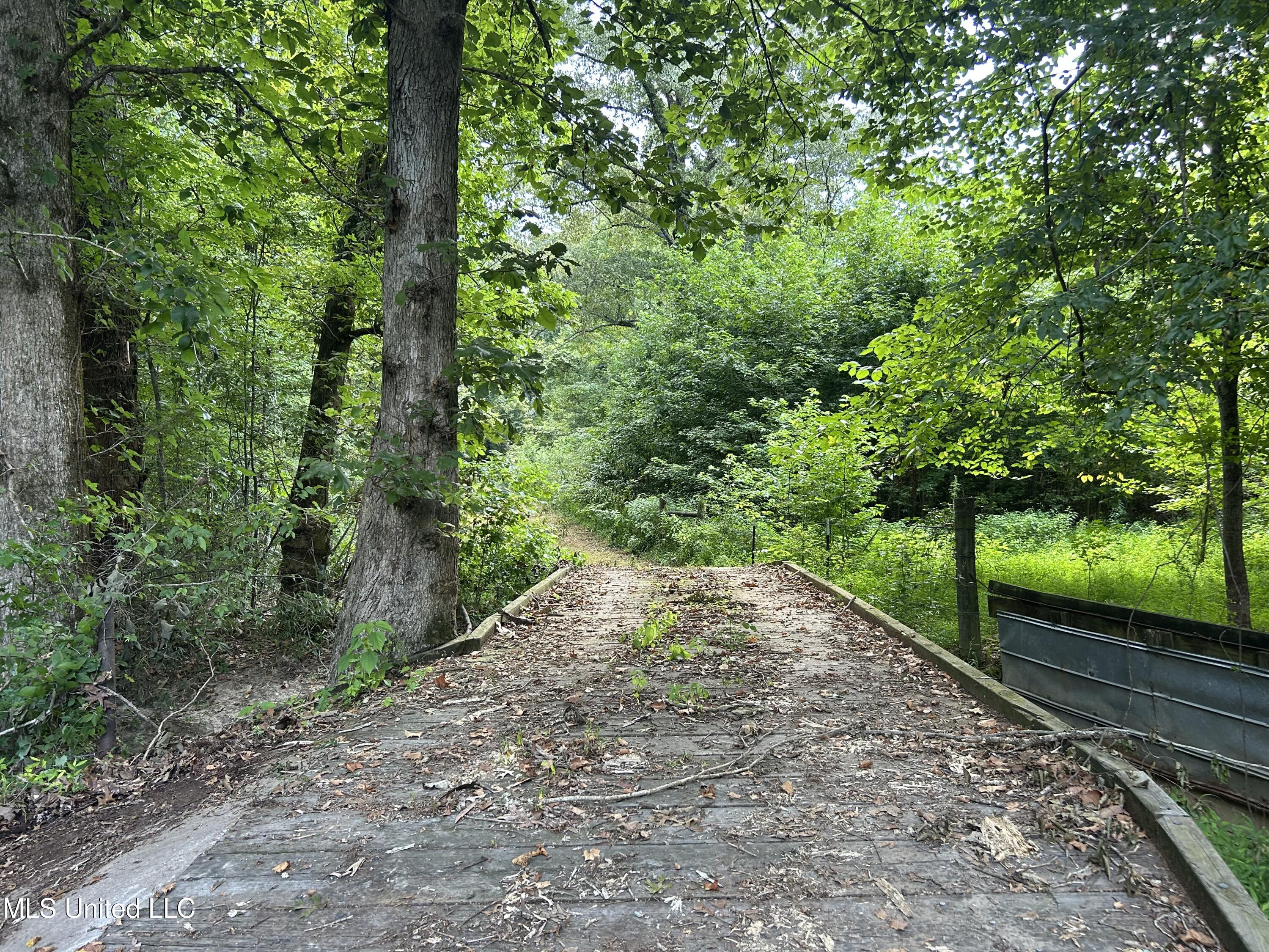 1 Farr Road Edwards, MS 39066 - Photo 24 of 135 IMG_2858