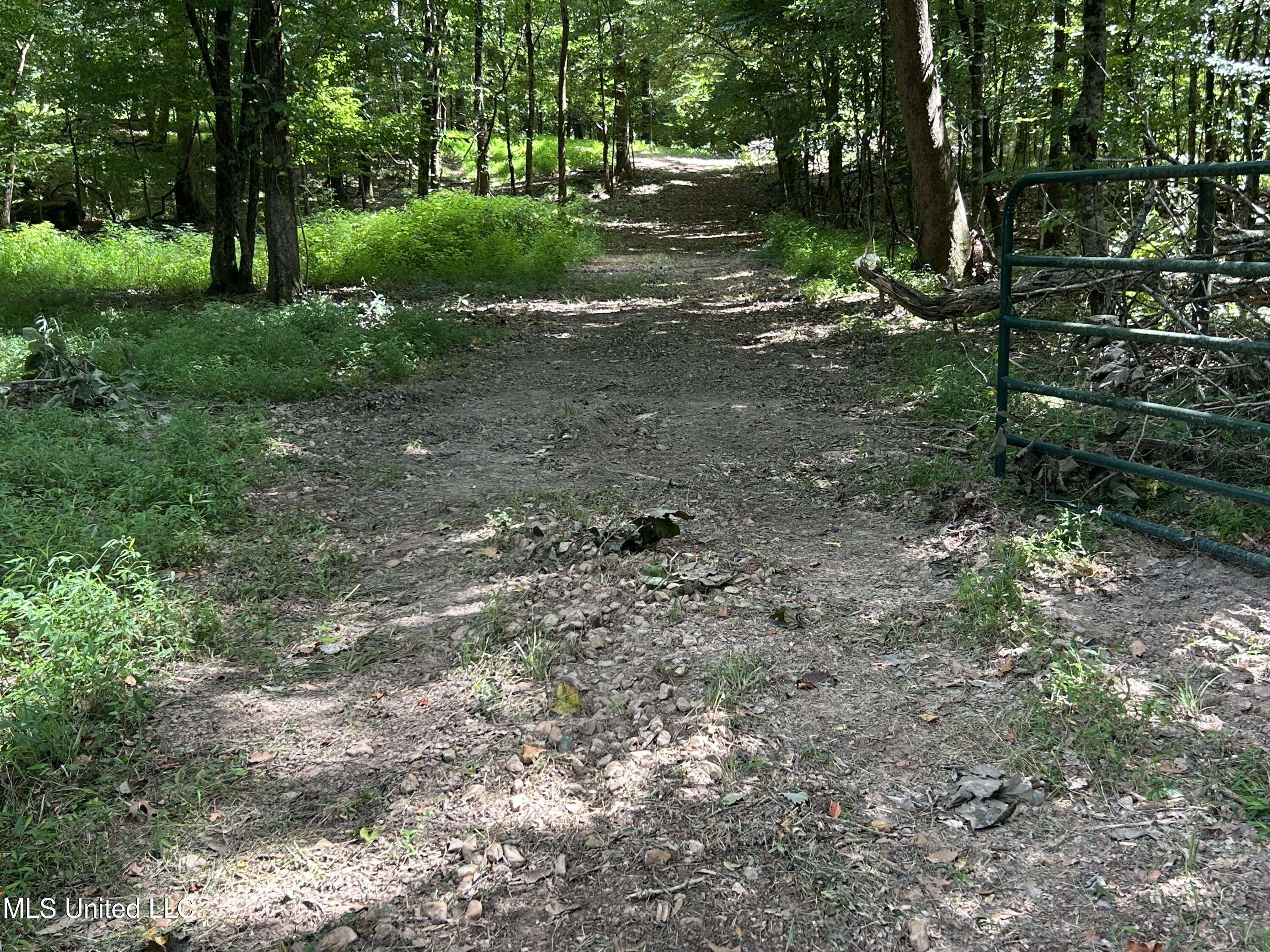 1 Farr Road Edwards, MS 39066 - Photo 29 of 135 IMG_2863