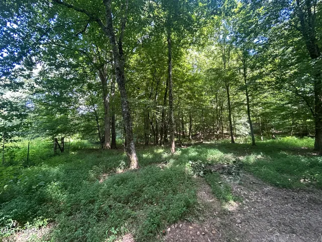 $499,450 | 1 Farr Road, Edwards, MS 39066