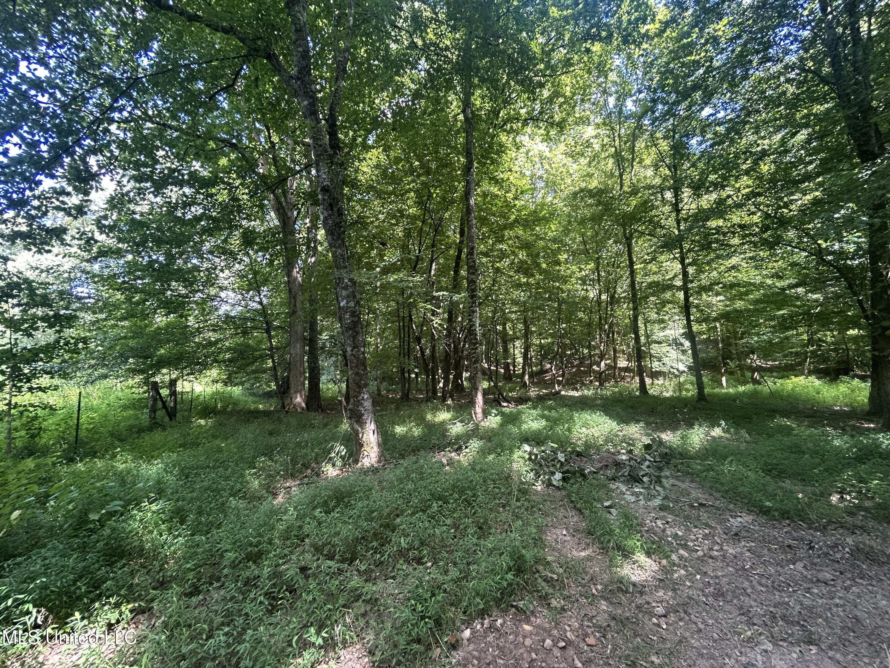 1 Farr Road Edwards, MS 39066 - Photo 30 of 135 IMG_2864