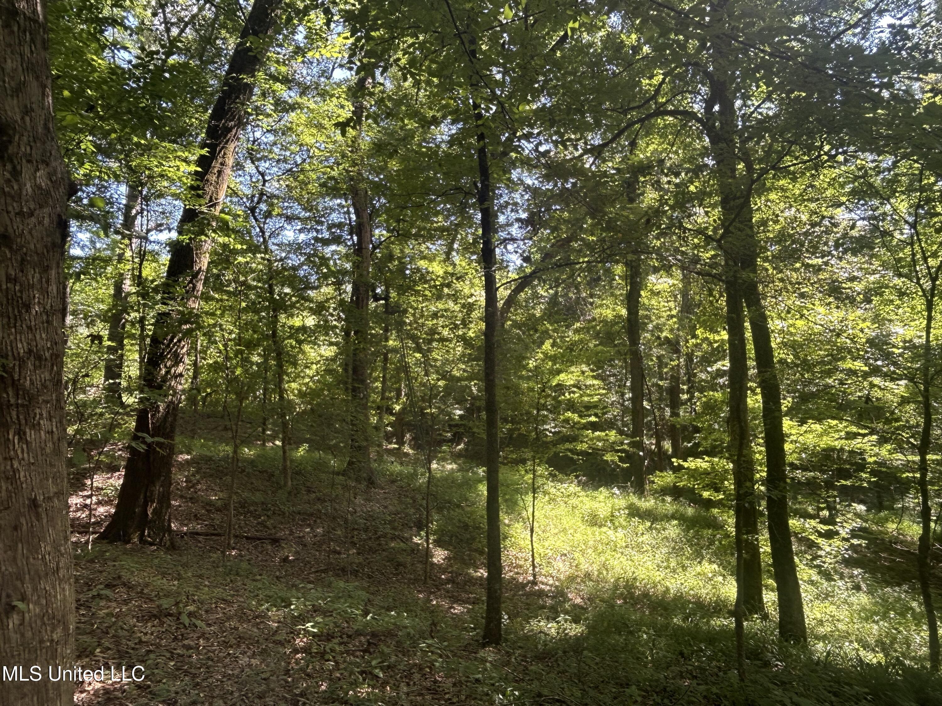 1 Farr Road Edwards, MS 39066 - Photo 31 of 135 IMG_2866