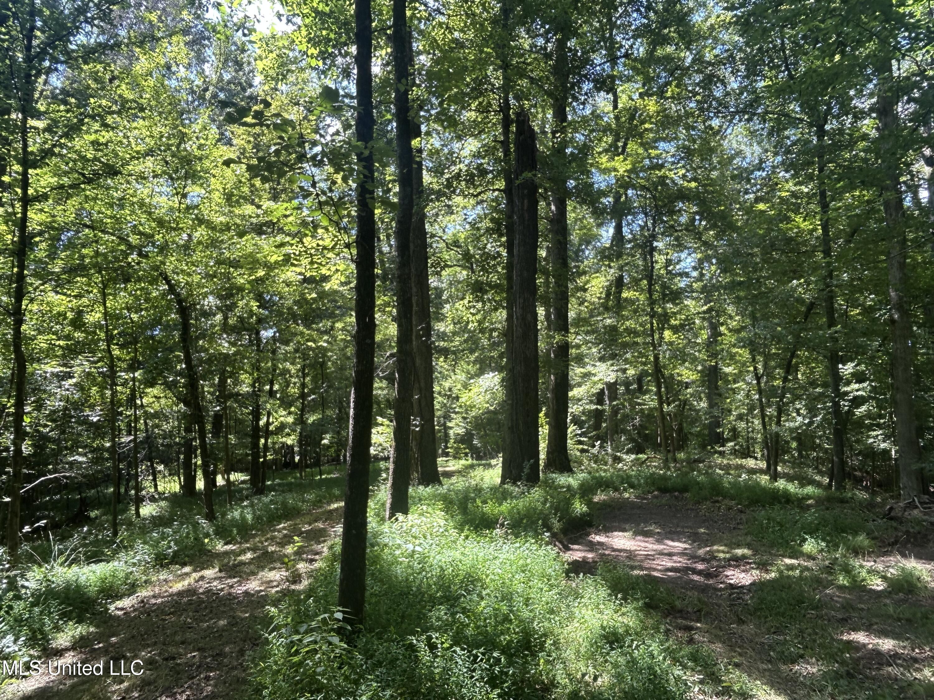 1 Farr Road Edwards, MS 39066 - Photo 32 of 135 IMG_2867