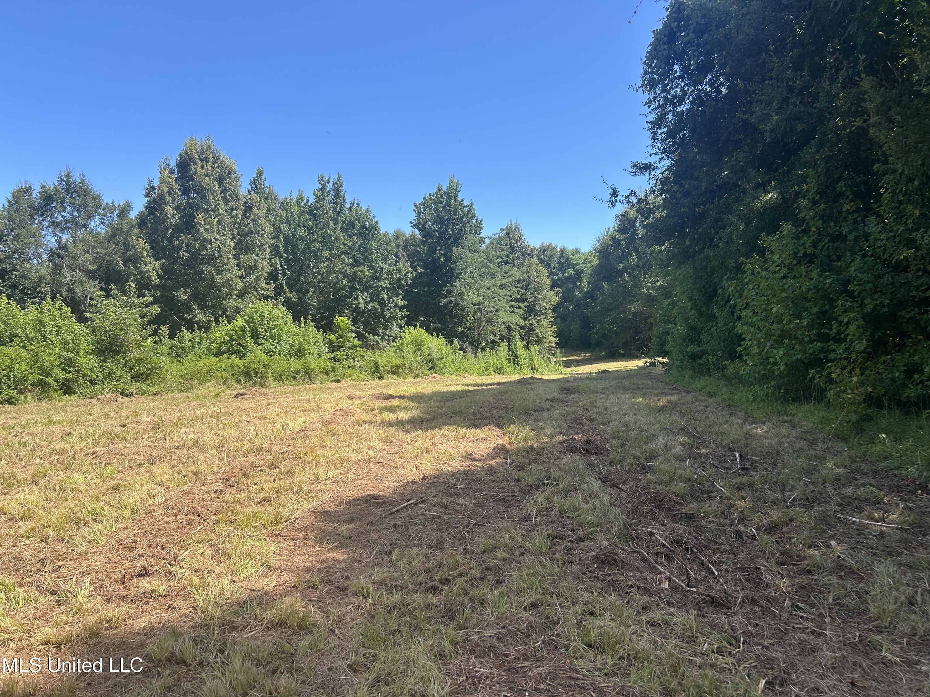 1 Farr Road Edwards, MS 39066 - Photo 34 of 135 IMG_2871