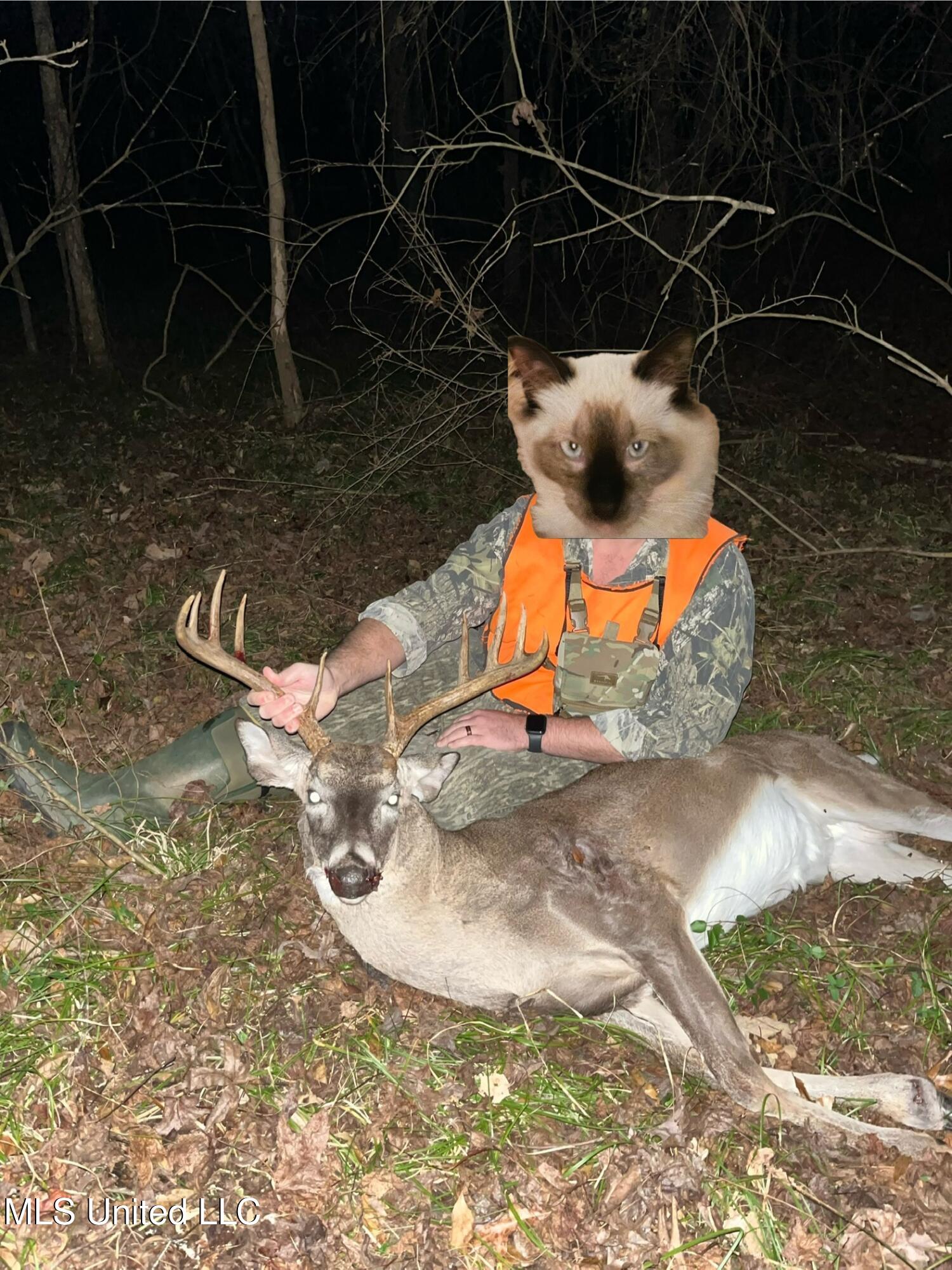 1 Farr Road Edwards, MS 39066 - Photo 35 of 135 IMG_8919