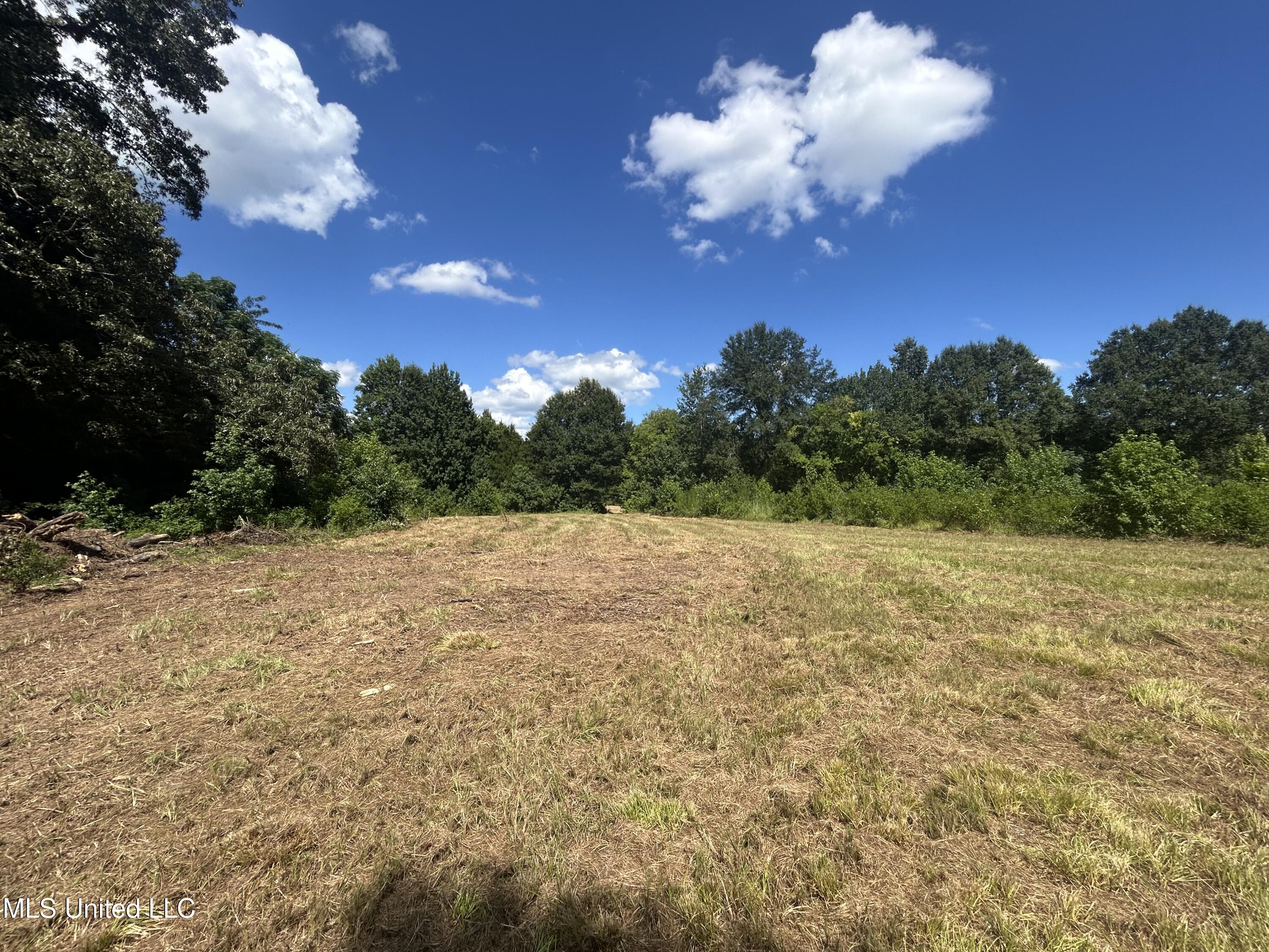 1 Farr Road Edwards, MS 39066 - Photo 36 of 135 IMG_2872