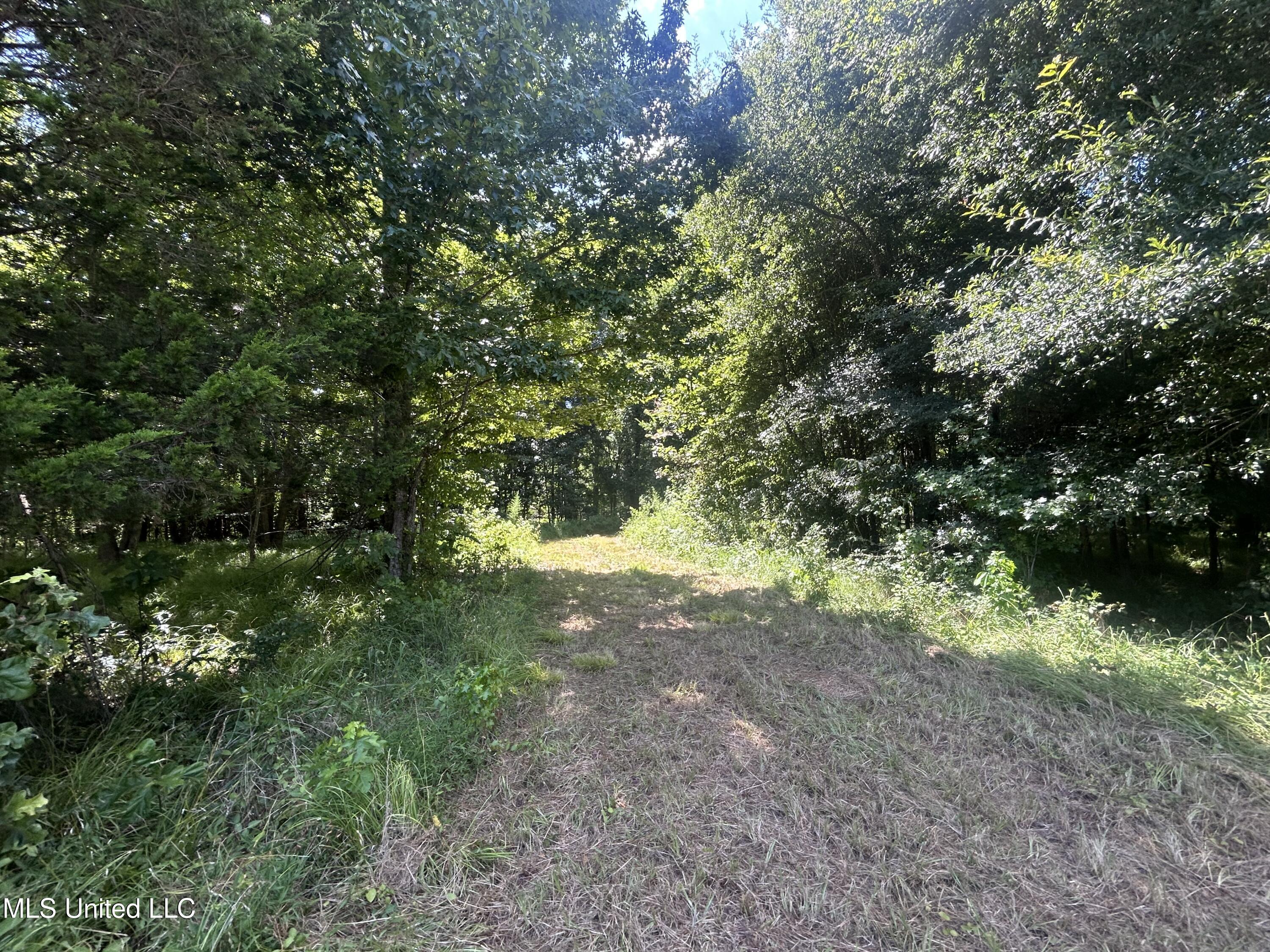 1 Farr Road Edwards, MS 39066 - Photo 37 of 135 IMG_2873