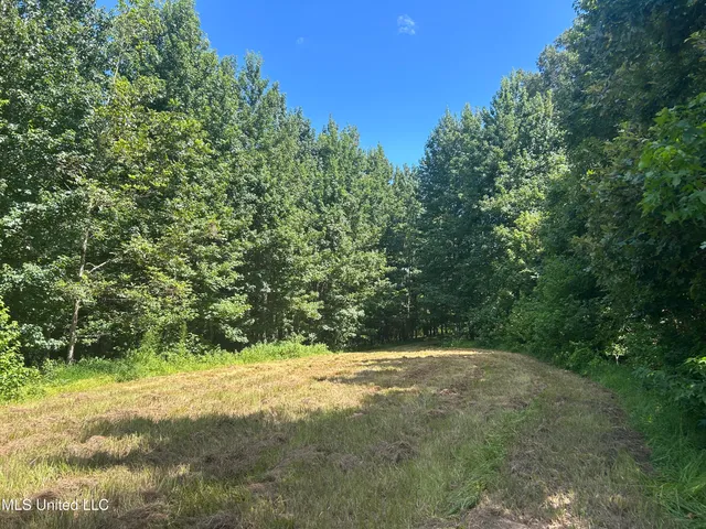 $499,450 | 1 Farr Road, Edwards, MS 39066