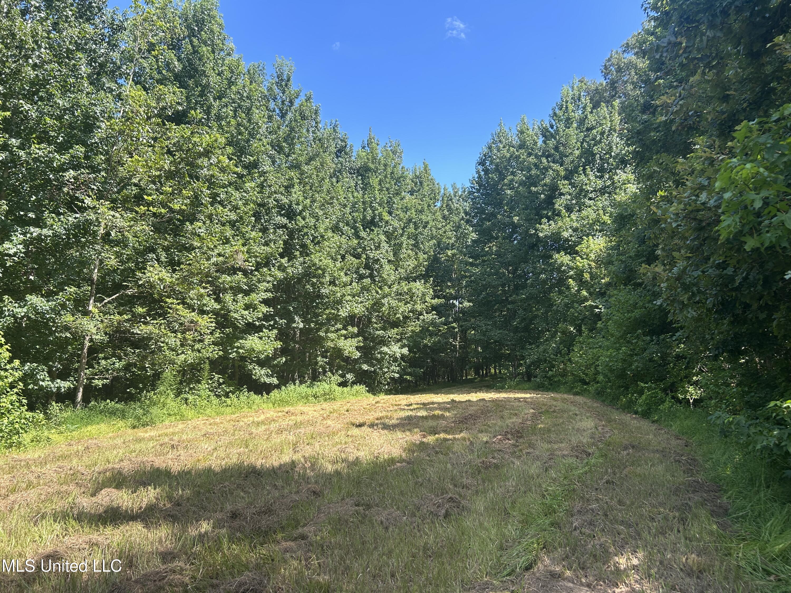 1 Farr Road Edwards, MS 39066 - Photo 38 of 135 IMG_2875