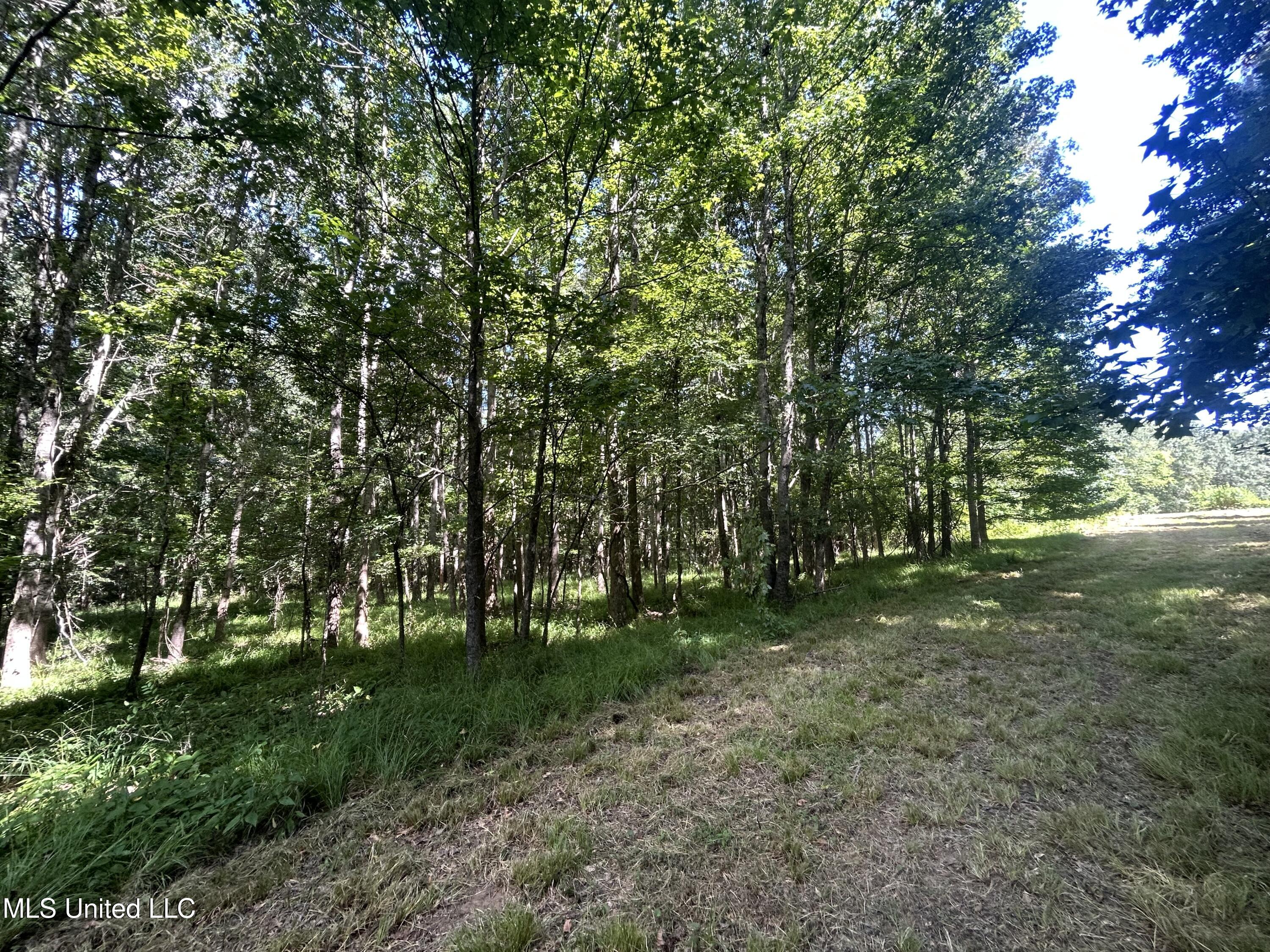 1 Farr Road Edwards, MS 39066 - Photo 39 of 135 IMG_2876