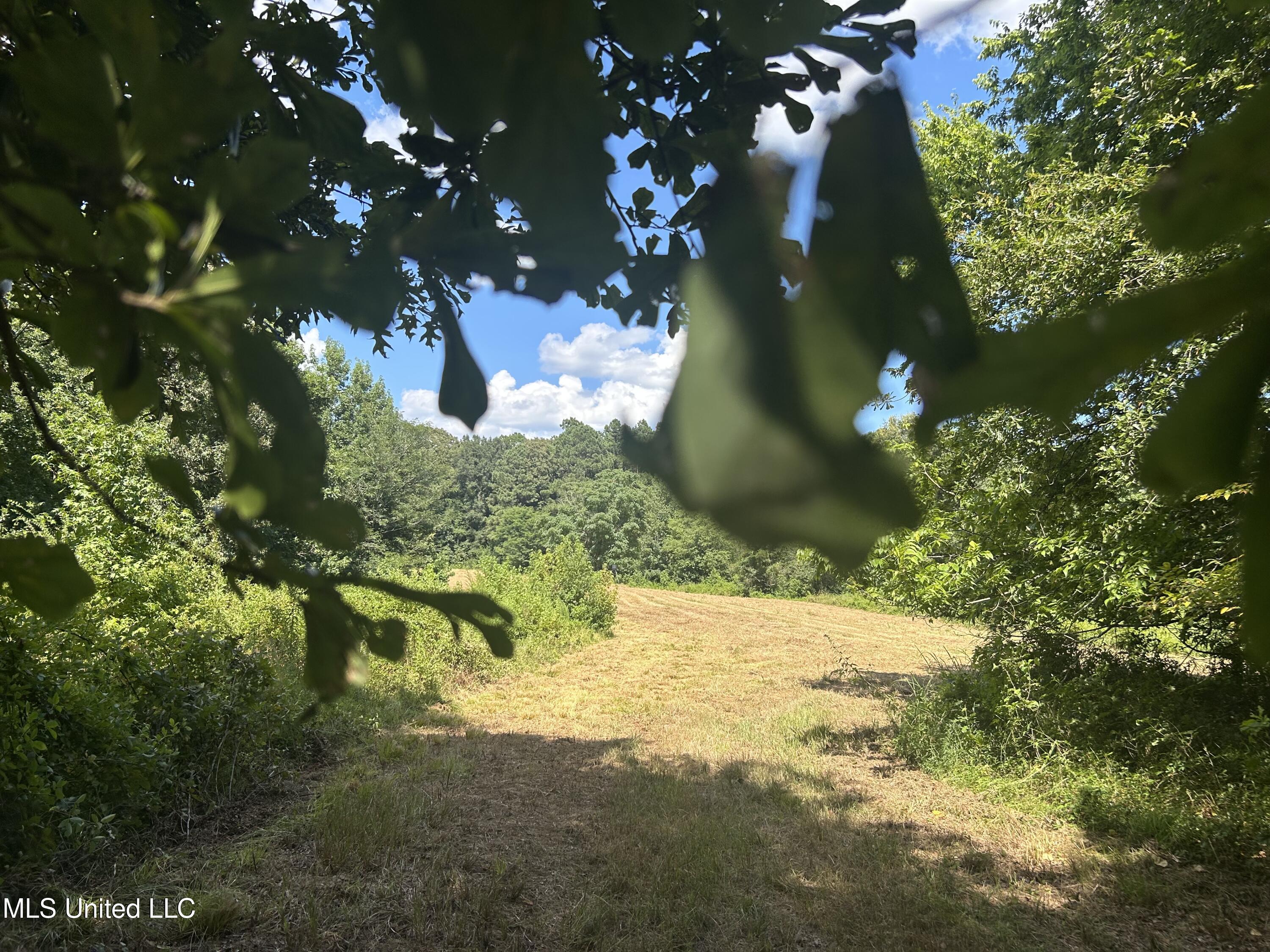 1 Farr Road Edwards, MS 39066 - Photo 40 of 135 IMG_2878