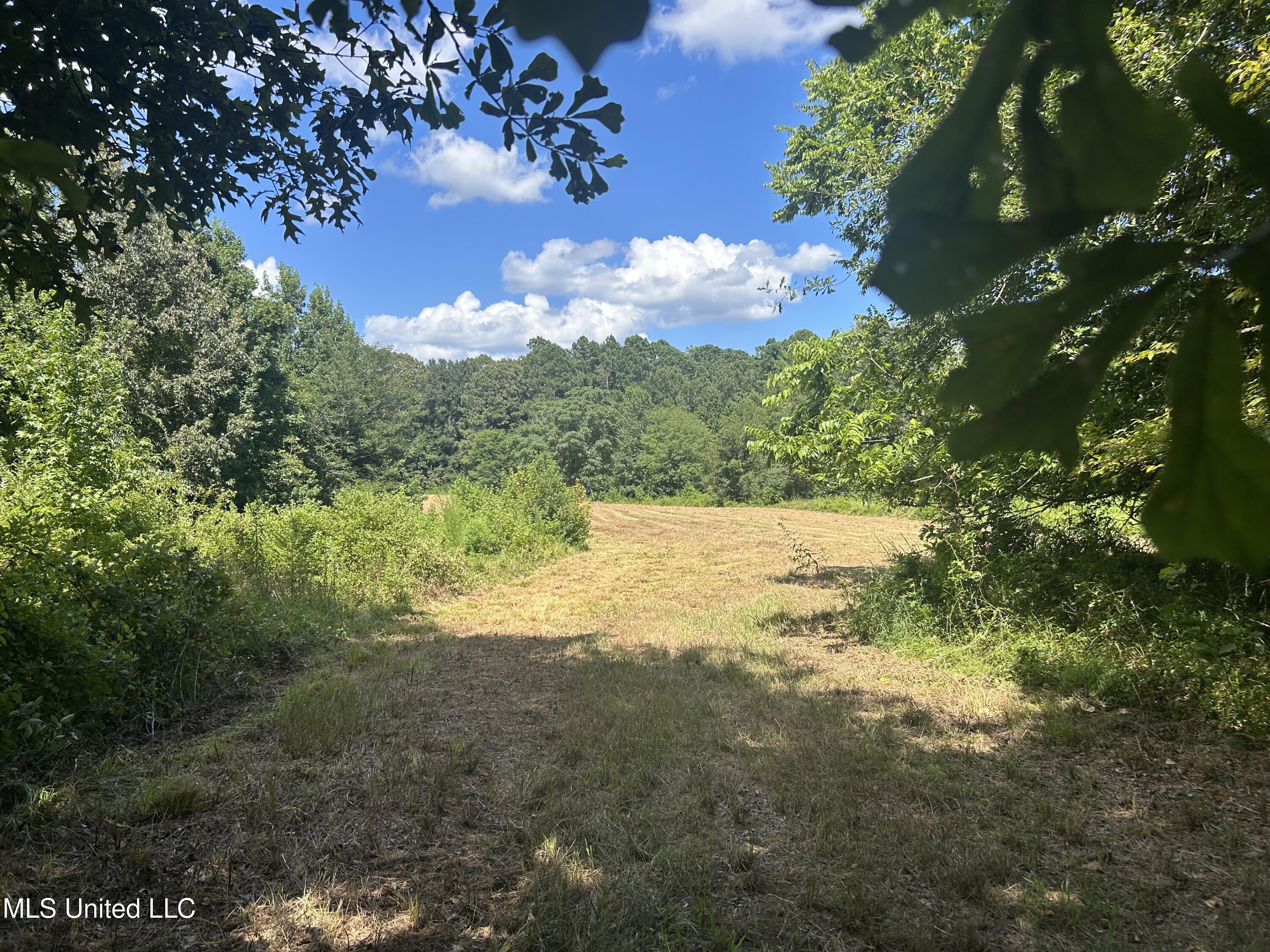 1 Farr Road Edwards, MS 39066 - Photo 41 of 135 IMG_2879