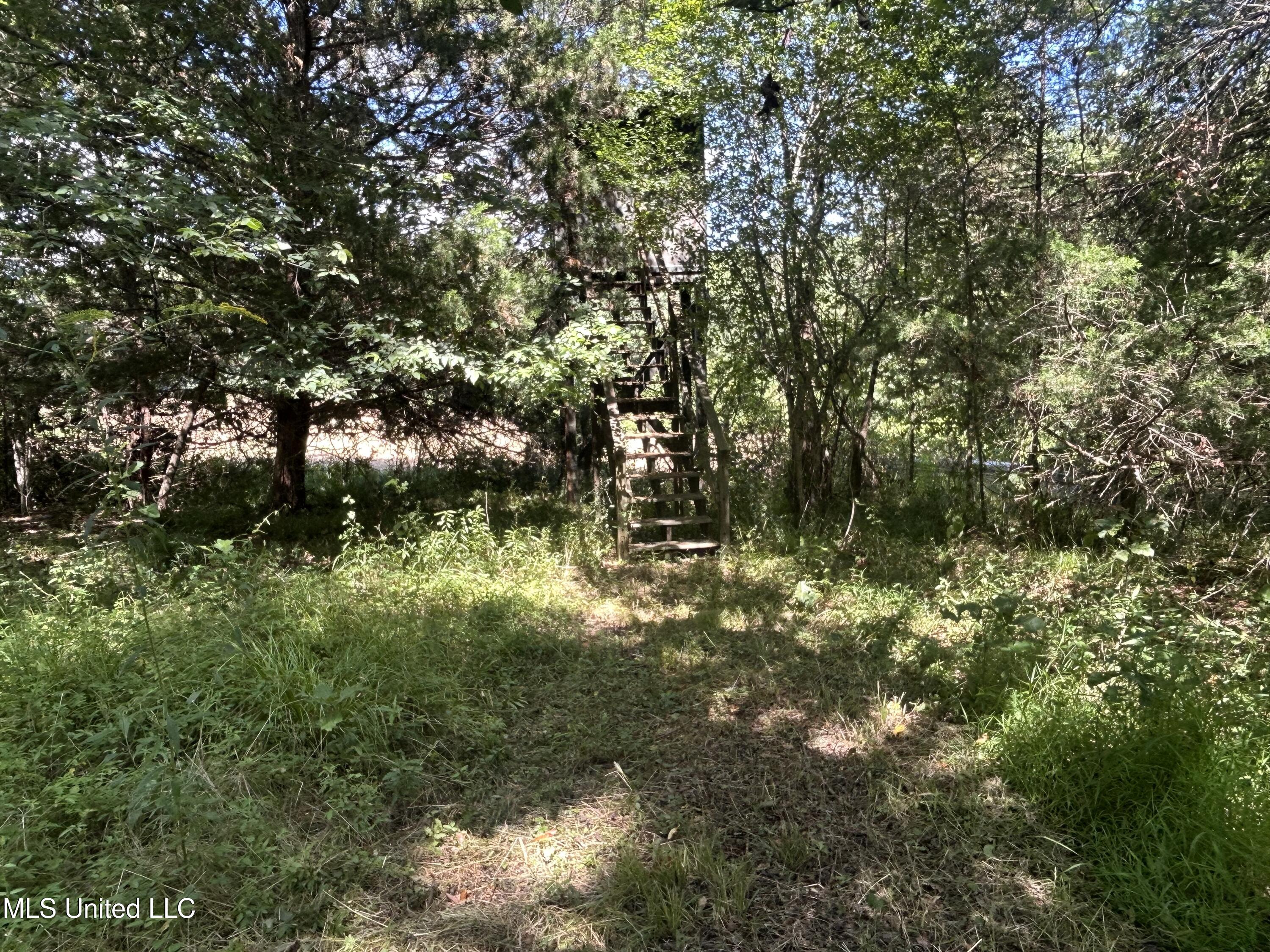 1 Farr Road Edwards, MS 39066 - Photo 42 of 135 IMG_2880