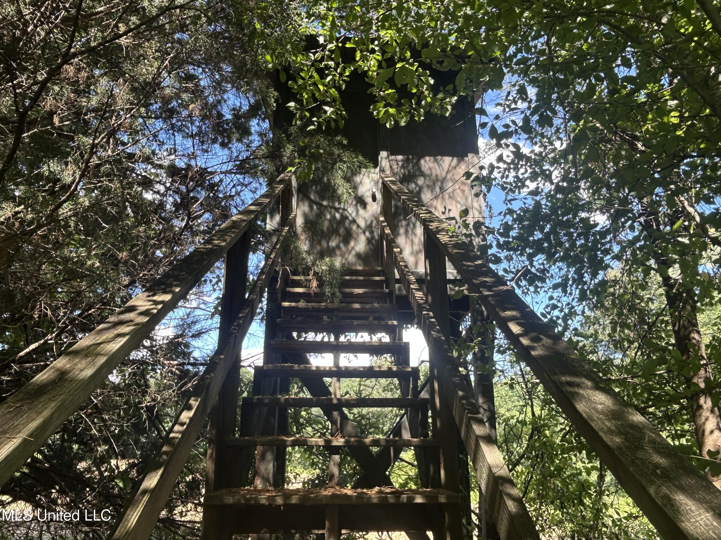 1 Farr Road Edwards, MS 39066 - Photo 43 of 135 IMG_2881