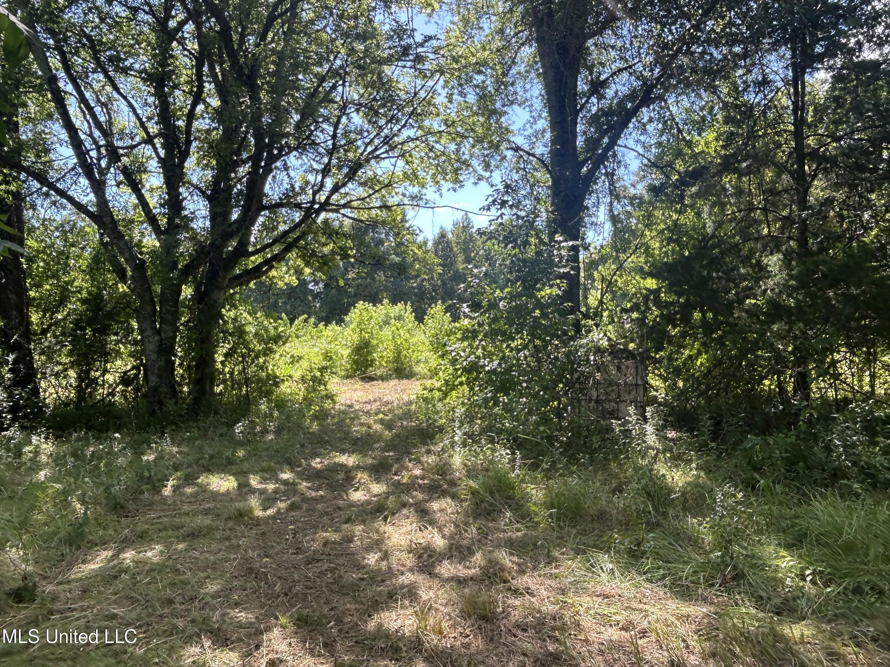 1 Farr Road Edwards, MS 39066 - Photo 44 of 135 IMG_2882