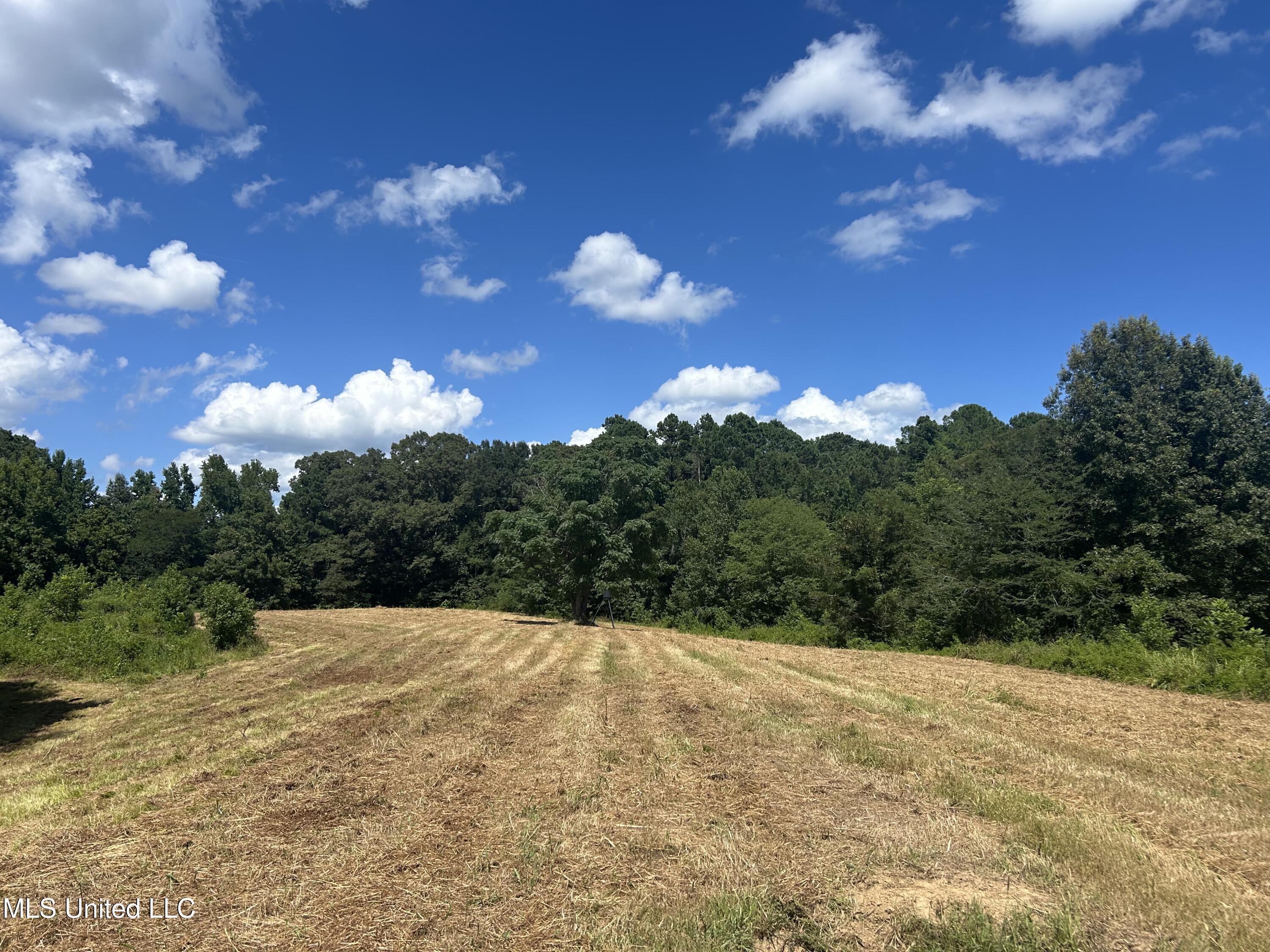 1 Farr Road Edwards, MS 39066 - Photo 45 of 135 IMG_2883