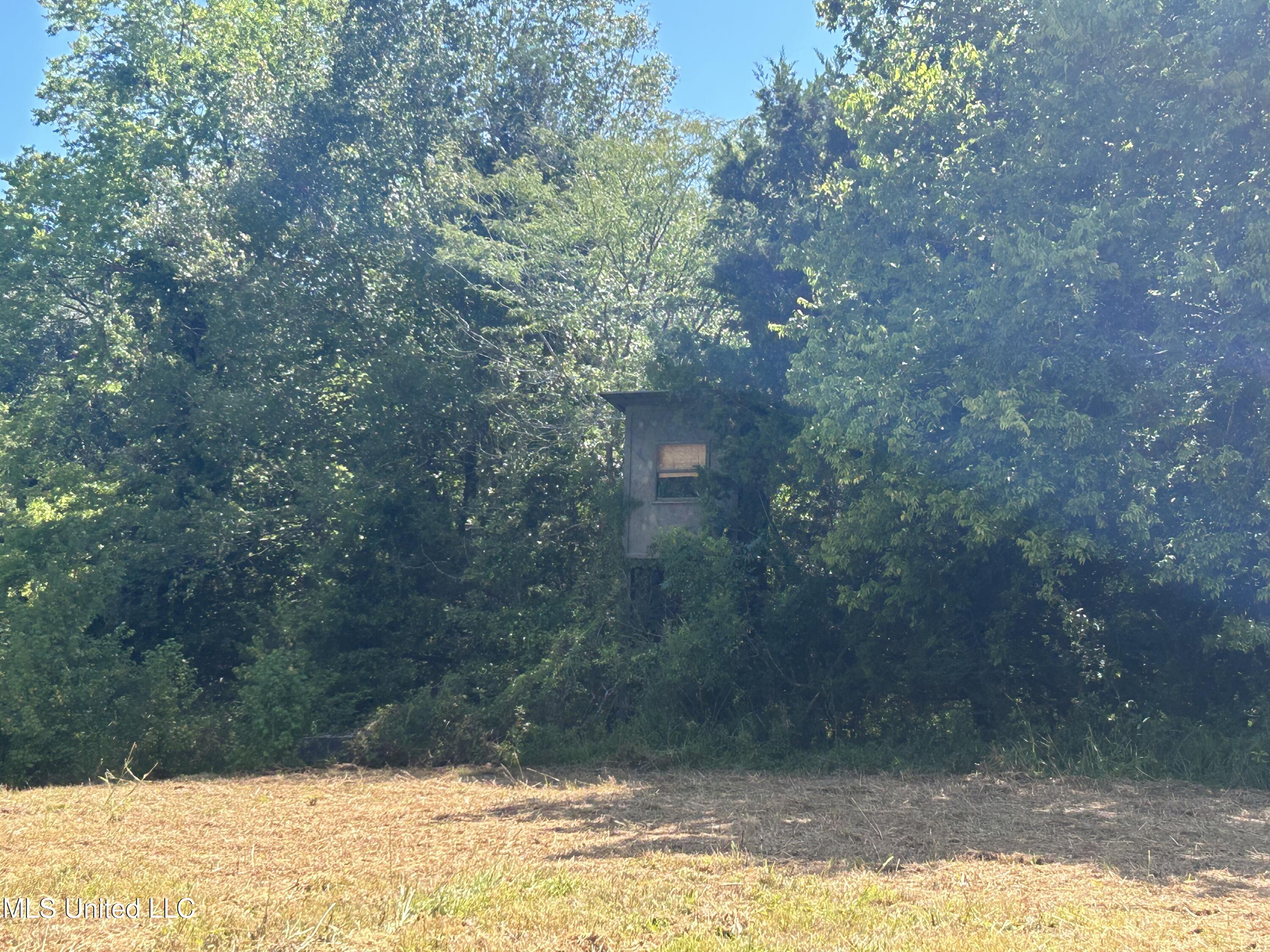 1 Farr Road Edwards, MS 39066 - Photo 46 of 135 IMG_2884