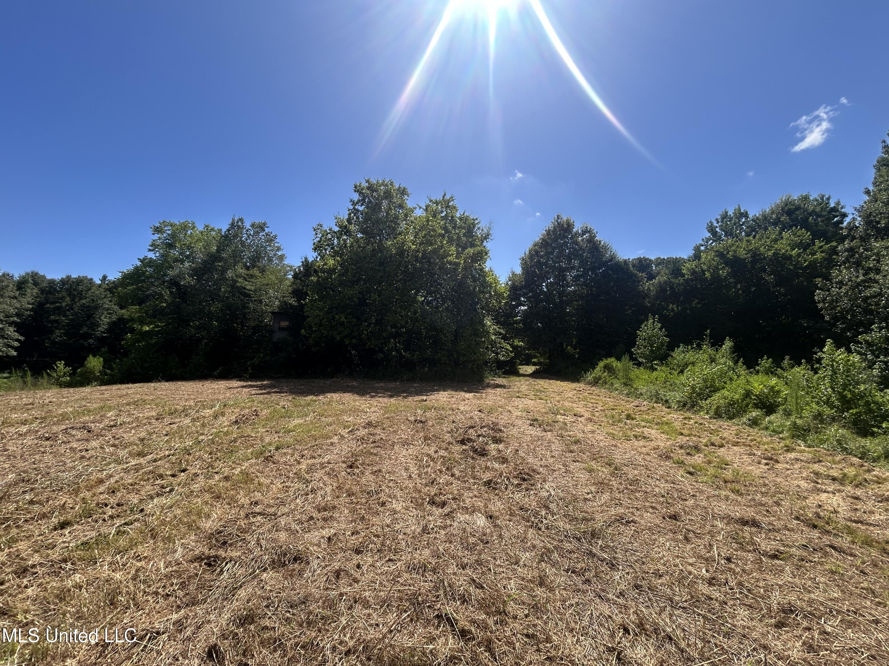 1 Farr Road Edwards, MS 39066 - Photo 47 of 135 IMG_2885