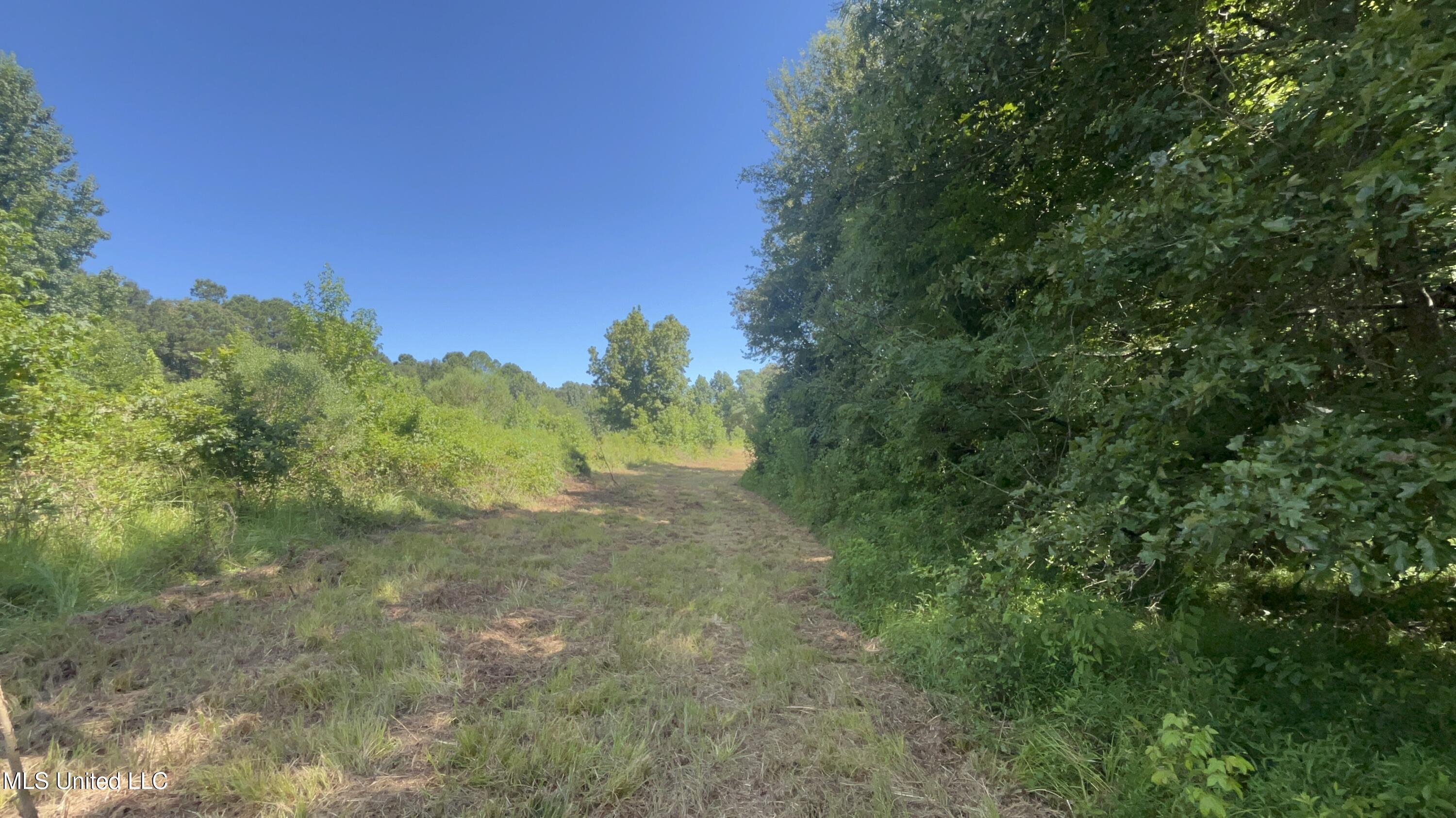 1 Farr Road Edwards, MS 39066 - Photo 48 of 135 IMG_2886