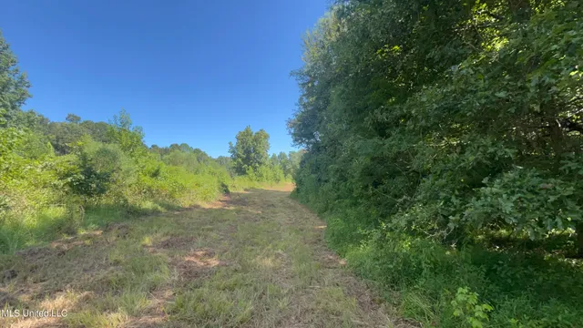 $499,450 | 1 Farr Road, Edwards, MS 39066