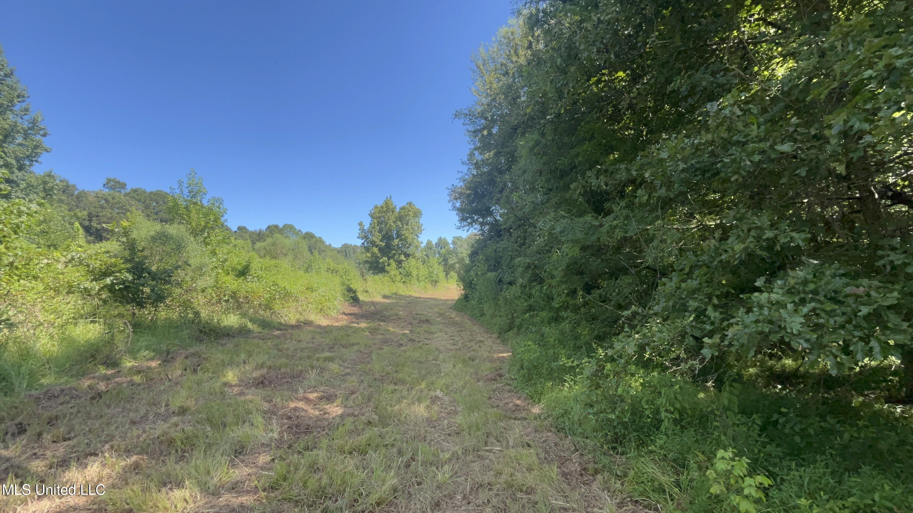 1 Farr Road Edwards, MS 39066 - Photo 49 of 135 IMG_2887