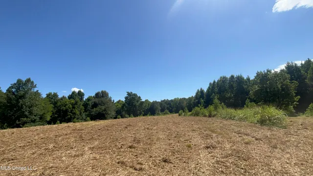 $499,450 | 1 Farr Road, Edwards, MS 39066