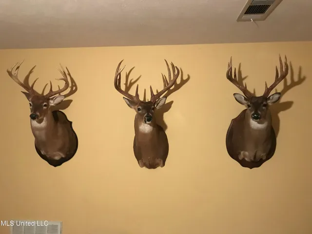 $499,450 | 1 Farr Road, Edwards, MS 39066