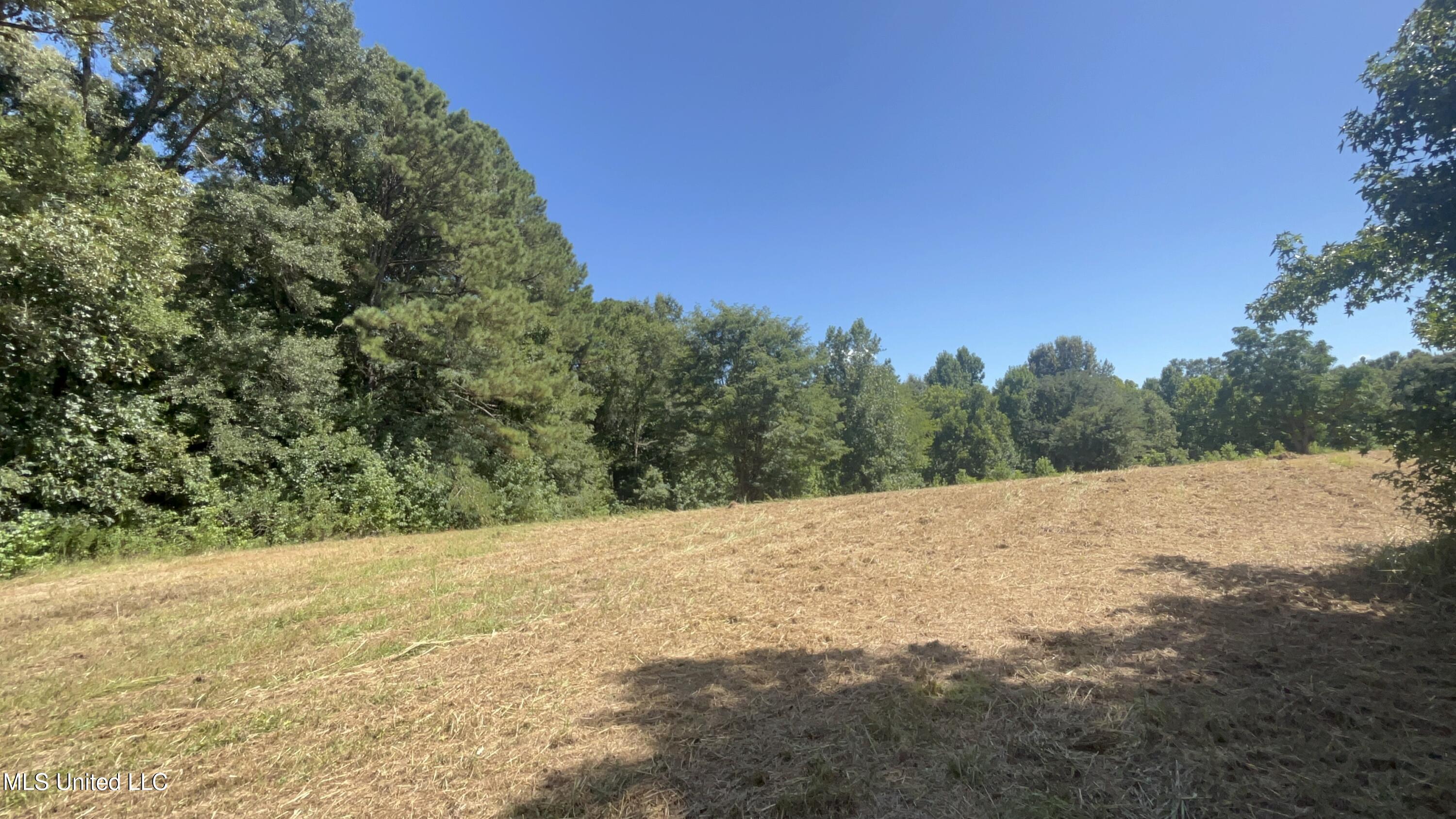 1 Farr Road Edwards, MS 39066 - Photo 51 of 135 IMG_2890