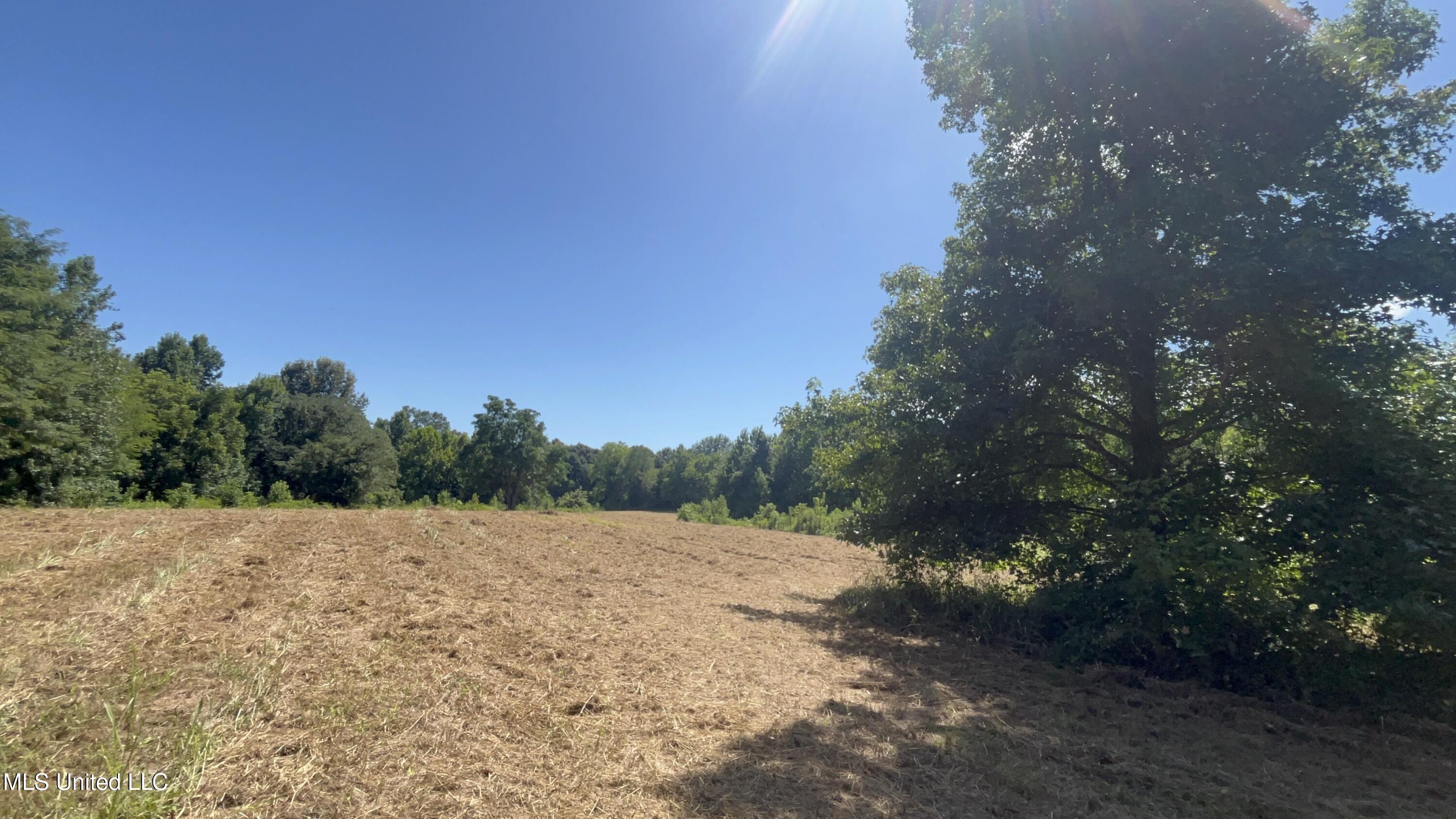 1 Farr Road Edwards, MS 39066 - Photo 52 of 135 IMG_2891