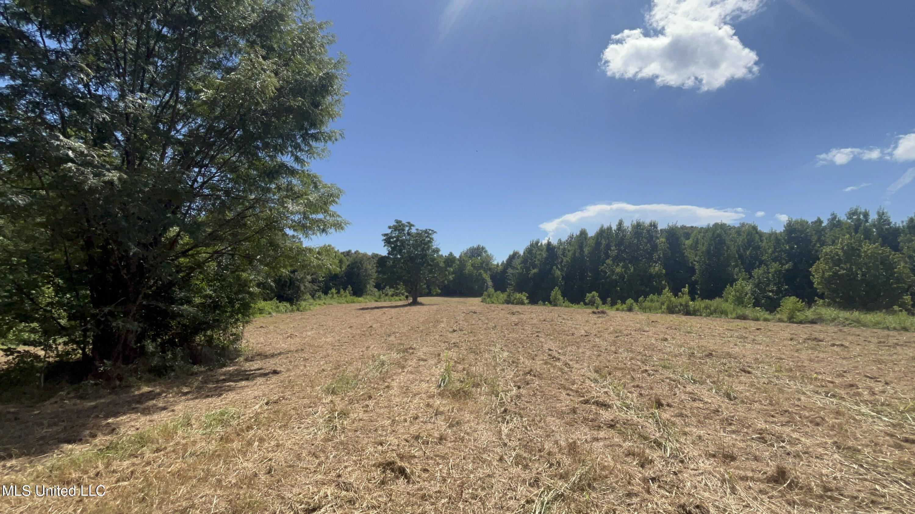 1 Farr Road Edwards, MS 39066 - Photo 53 of 135 IMG_2892