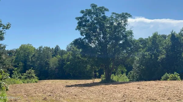 $499,450 | 1 Farr Road, Edwards, MS 39066