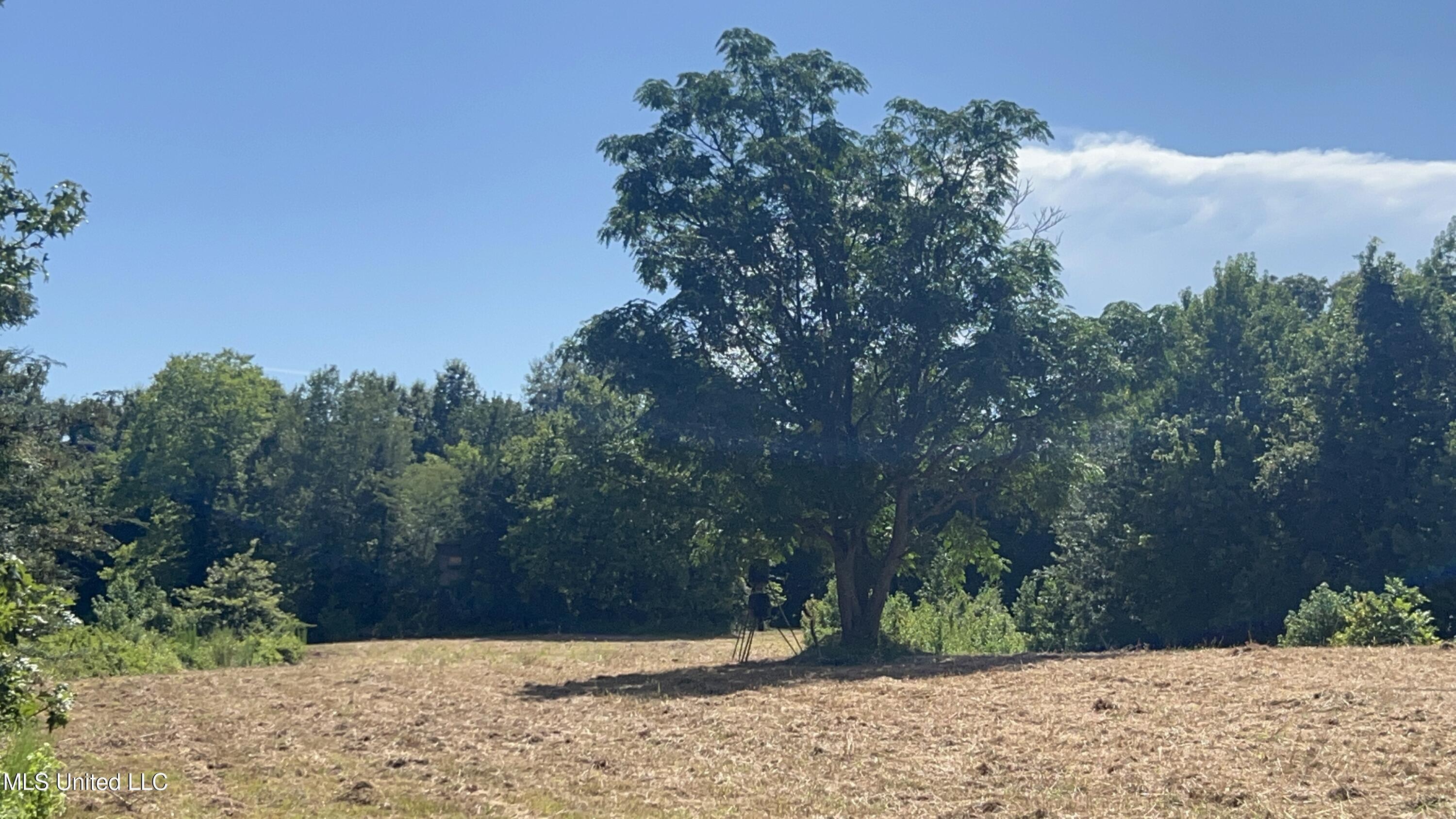 1 Farr Road Edwards, MS 39066 - Photo 54 of 135 IMG_2893