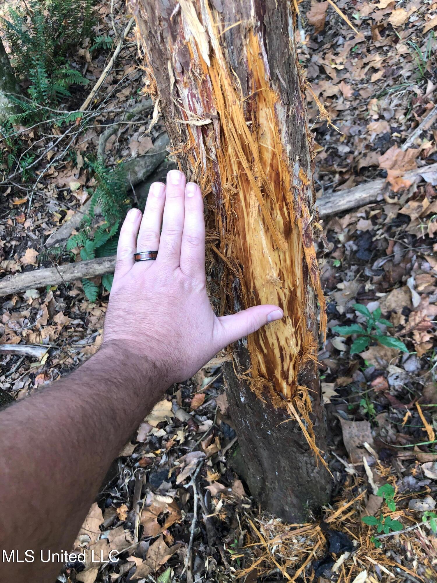1 Farr Road Edwards, MS 39066 - Photo 55 of 135 IMG_8948