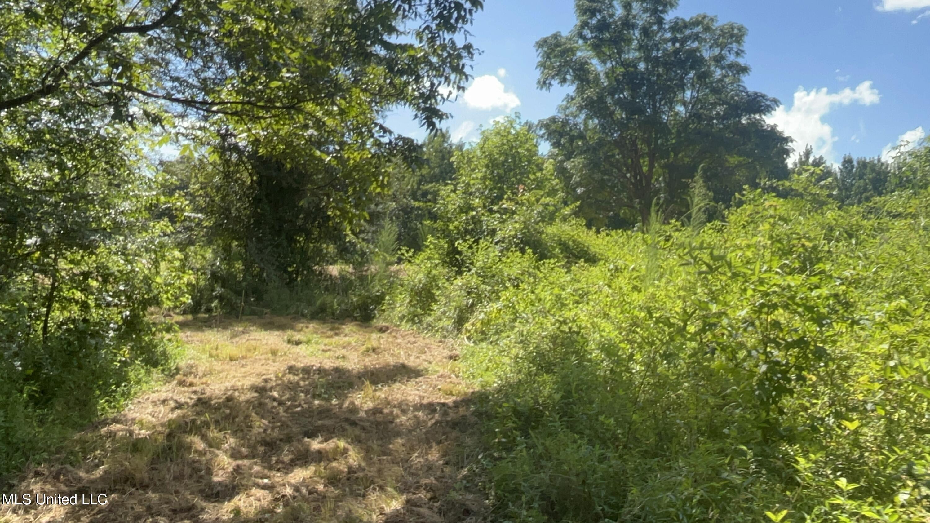 1 Farr Road Edwards, MS 39066 - Photo 56 of 135 IMG_2894