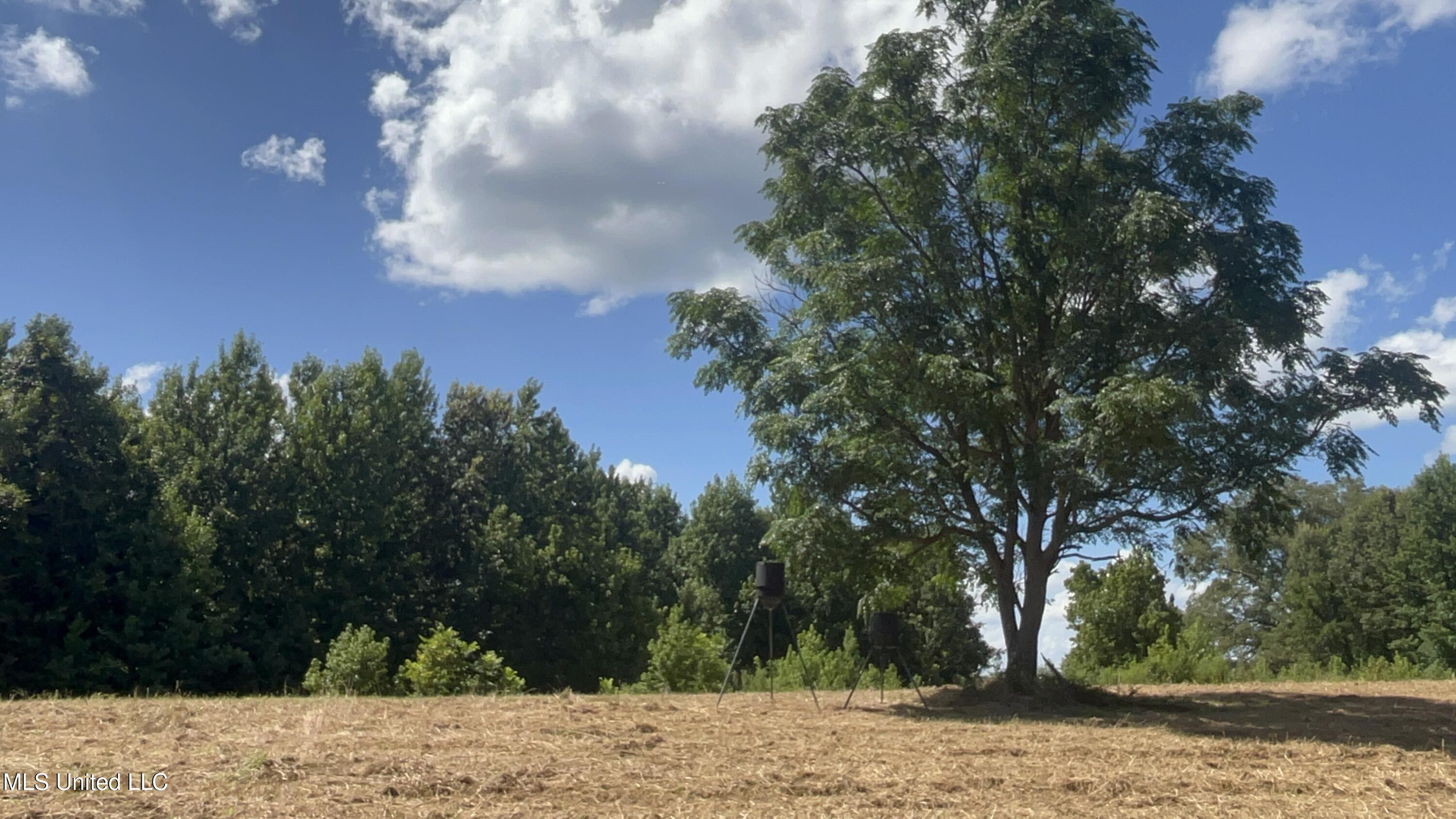 1 Farr Road Edwards, MS 39066 - Photo 57 of 135 IMG_2895