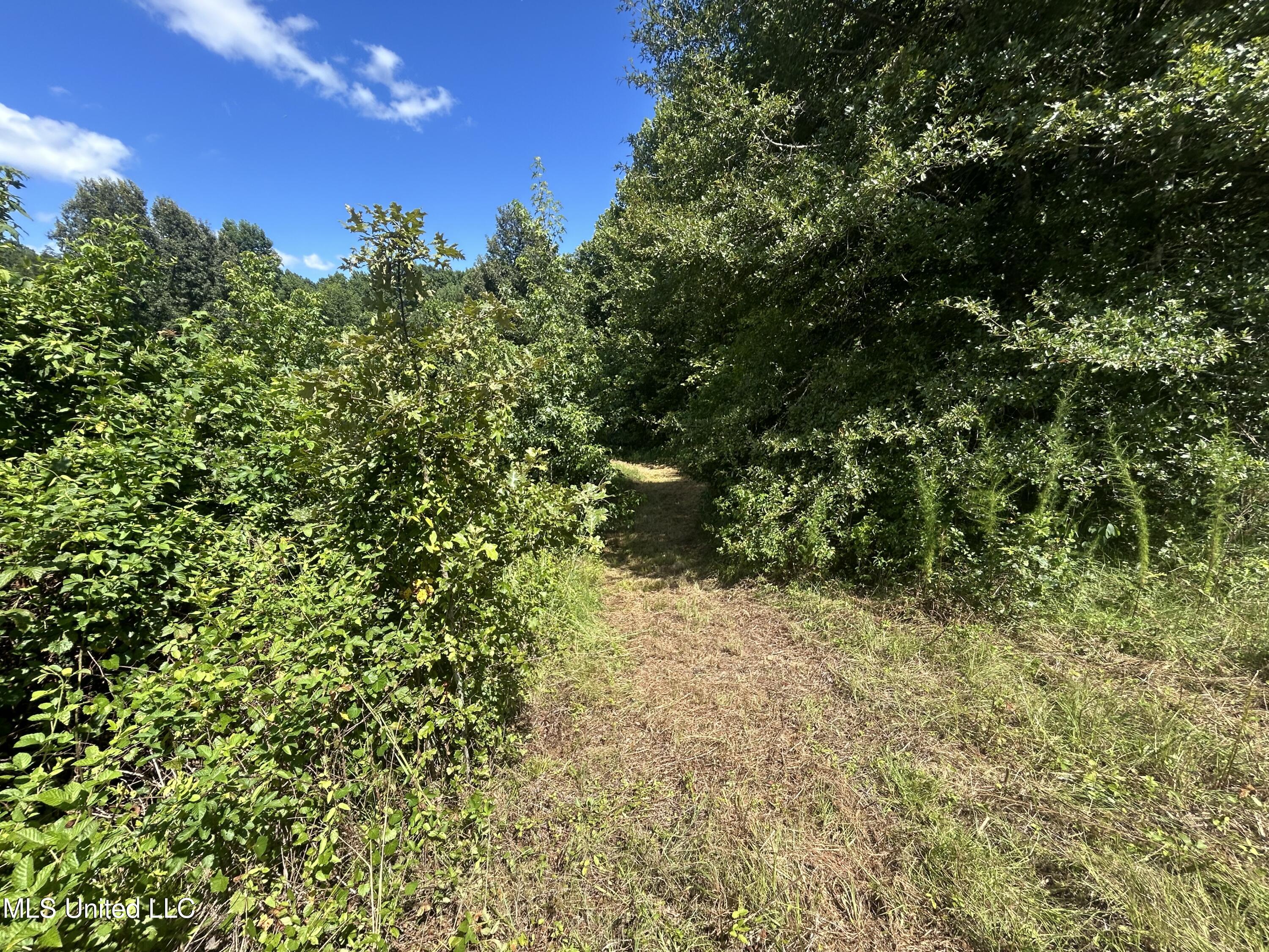 1 Farr Road Edwards, MS 39066 - Photo 58 of 135 IMG_2897