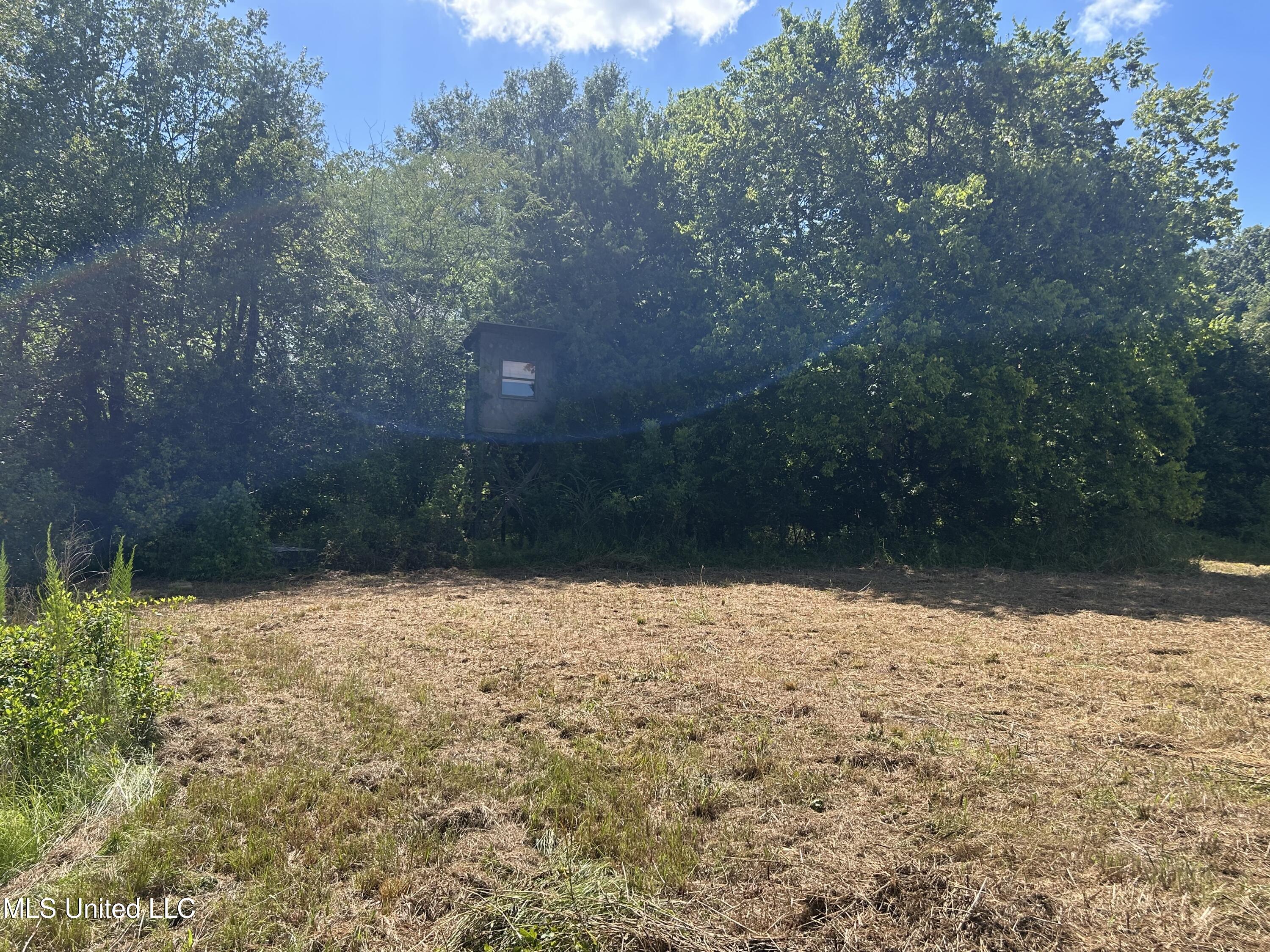 1 Farr Road Edwards, MS 39066 - Photo 59 of 135 IMG_2898