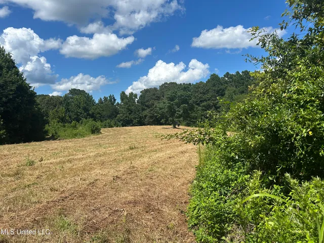 $499,450 | 1 Farr Road, Edwards, MS 39066