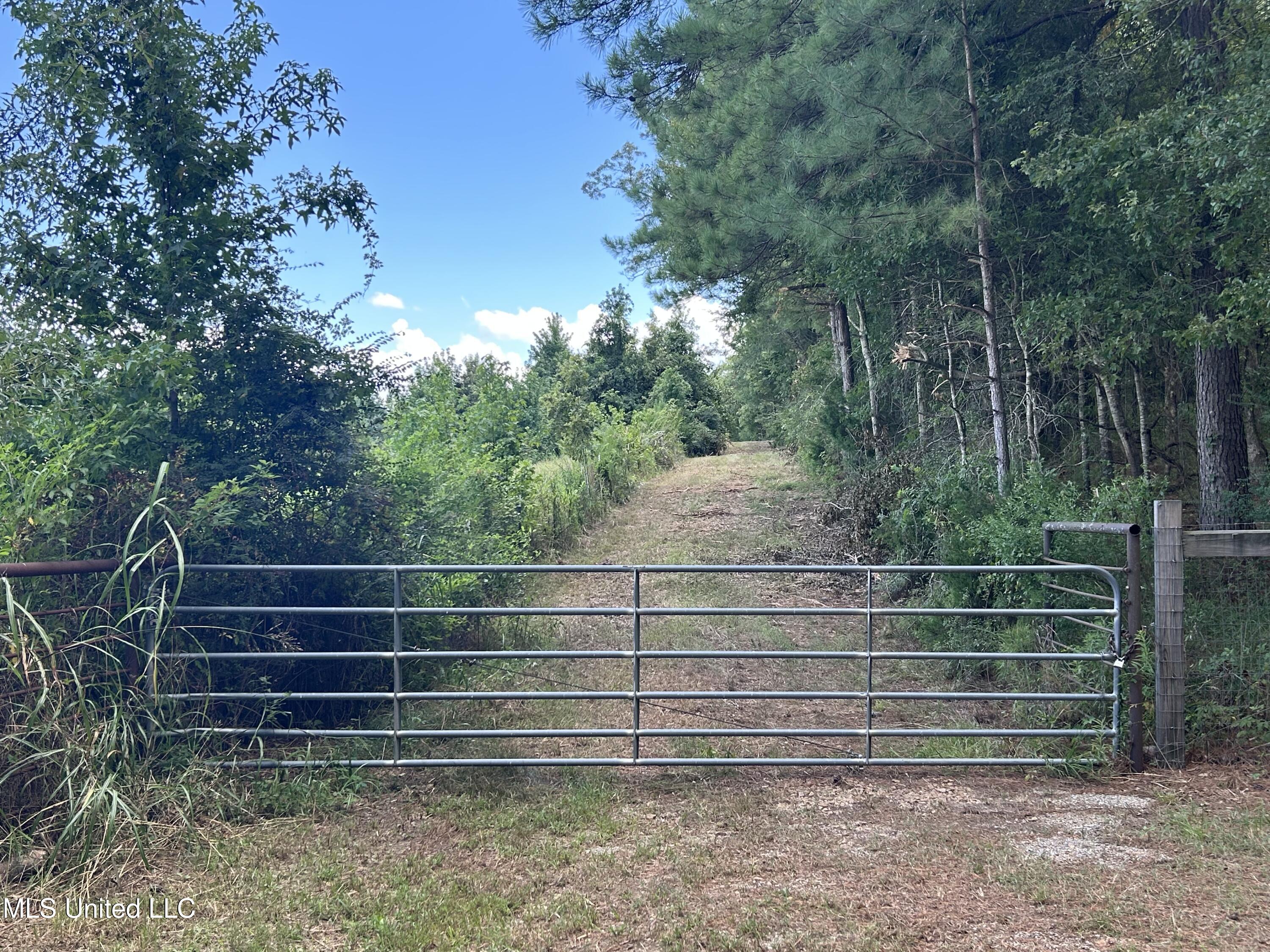 1 Farr Road Edwards, MS 39066 - Photo 6 of 135 IMG_2836