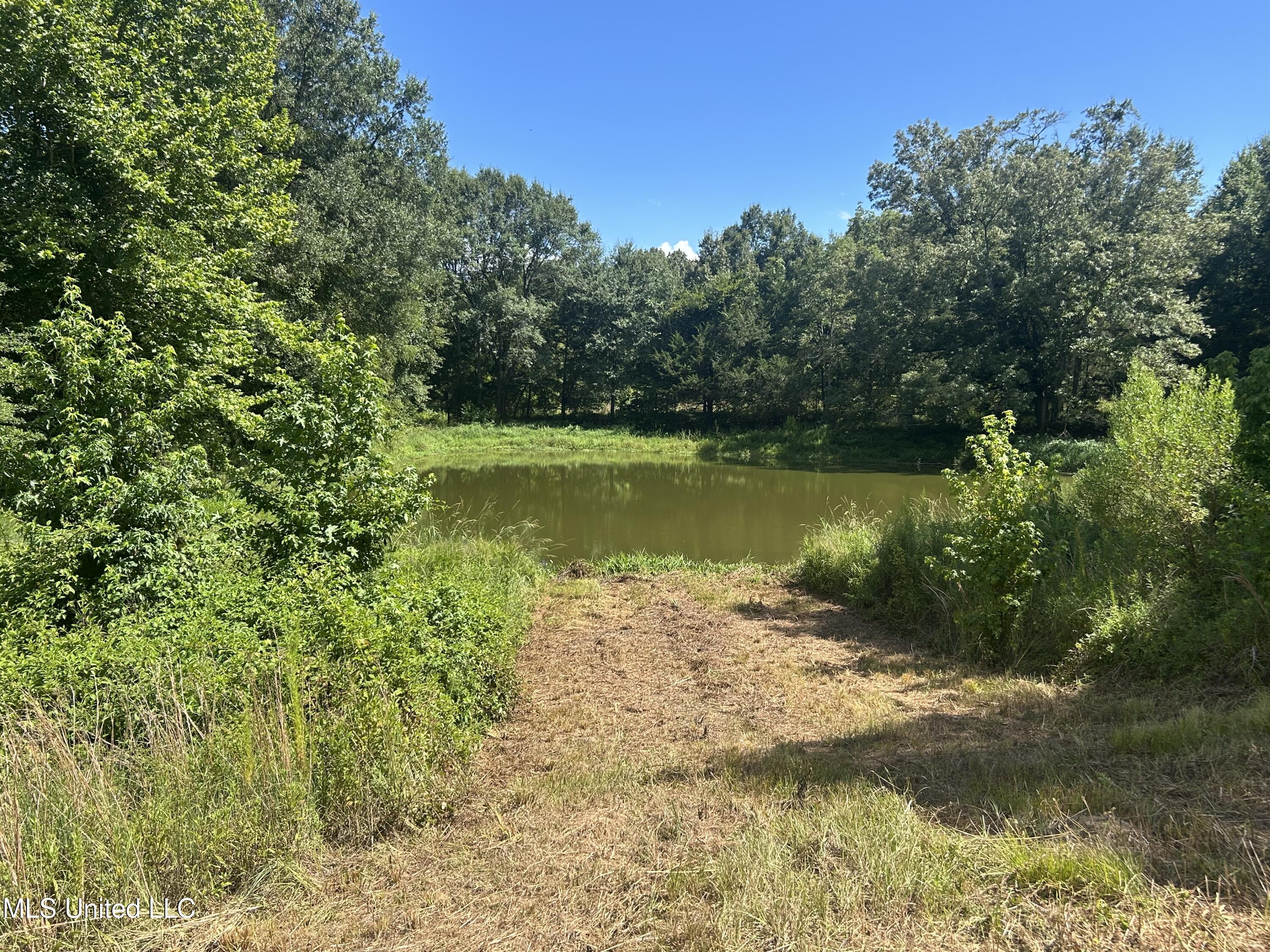 1 Farr Road Edwards, MS 39066 - Photo 61 of 135 IMG_2900