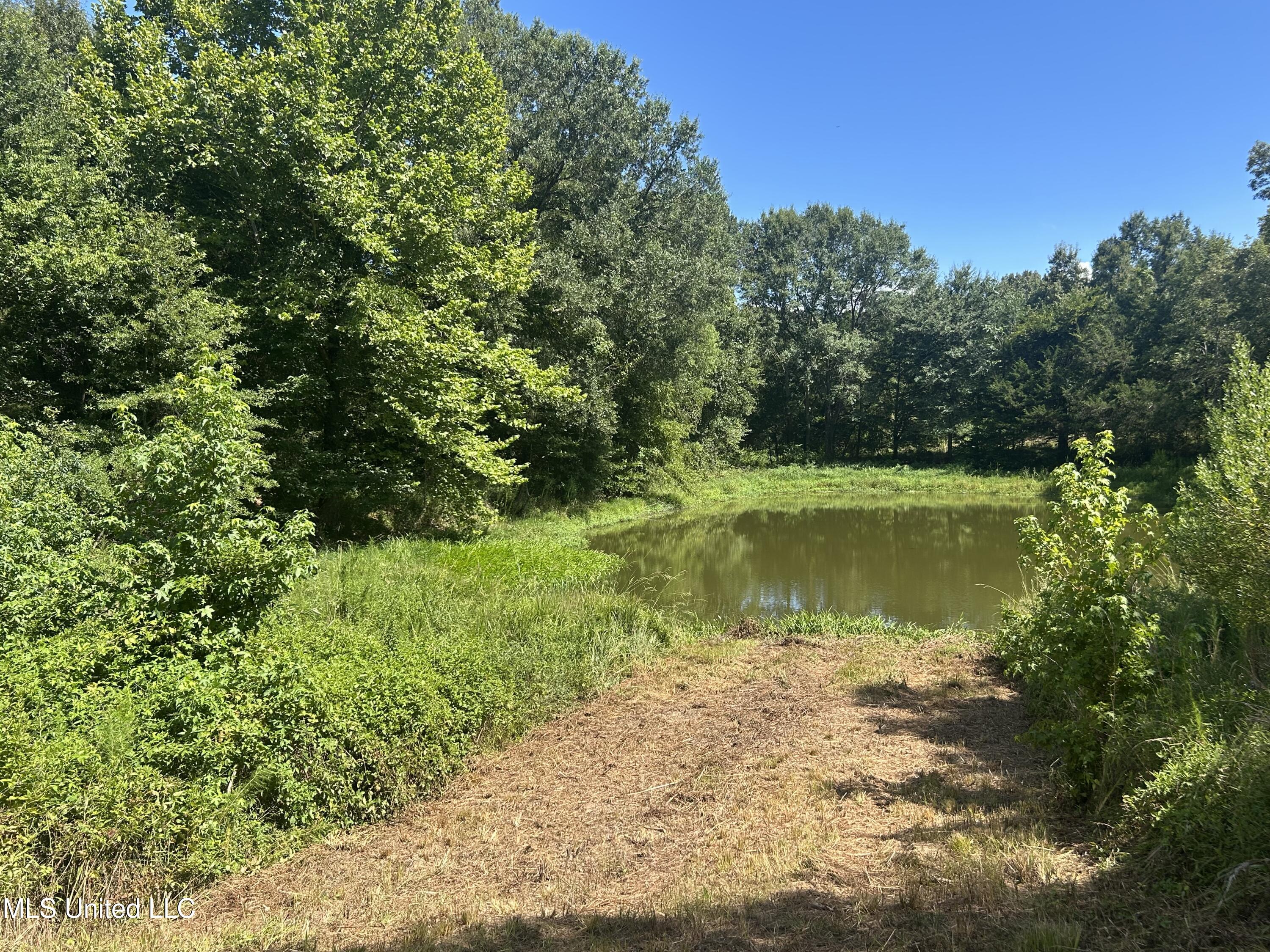 1 Farr Road Edwards, MS 39066 - Photo 62 of 135 IMG_2901