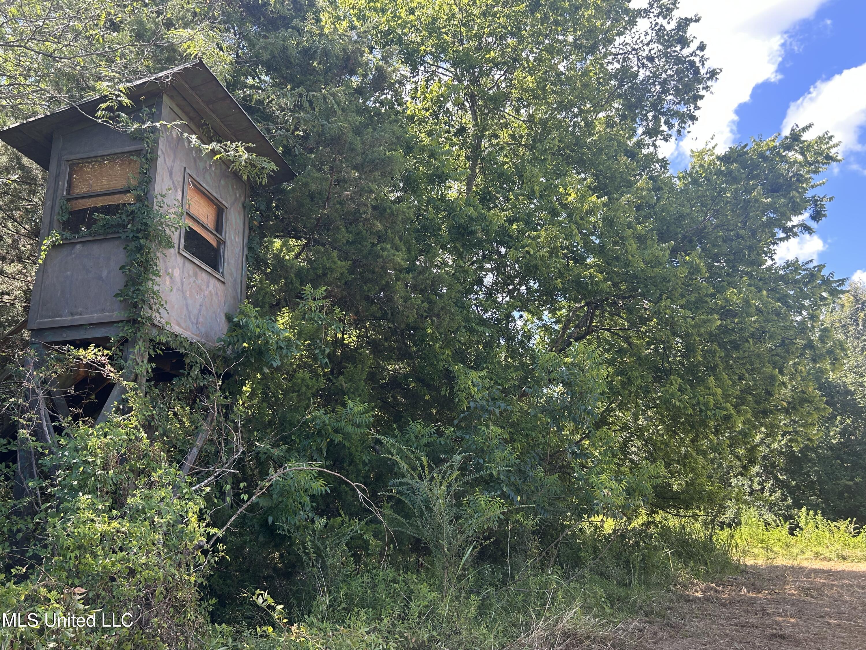 1 Farr Road Edwards, MS 39066 - Photo 63 of 135 IMG_2902