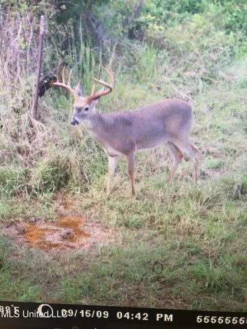 $499,450 | 1 Farr Road, Edwards, MS 39066