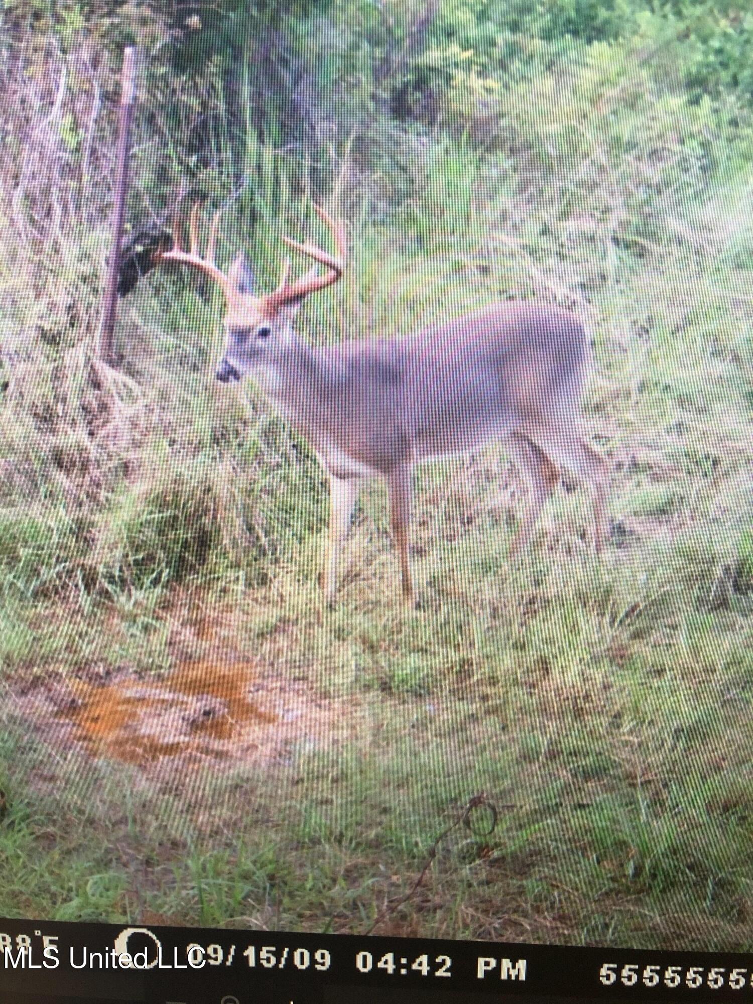 1 Farr Road Edwards, MS 39066 - Photo 64 of 135 IMG_8942 2