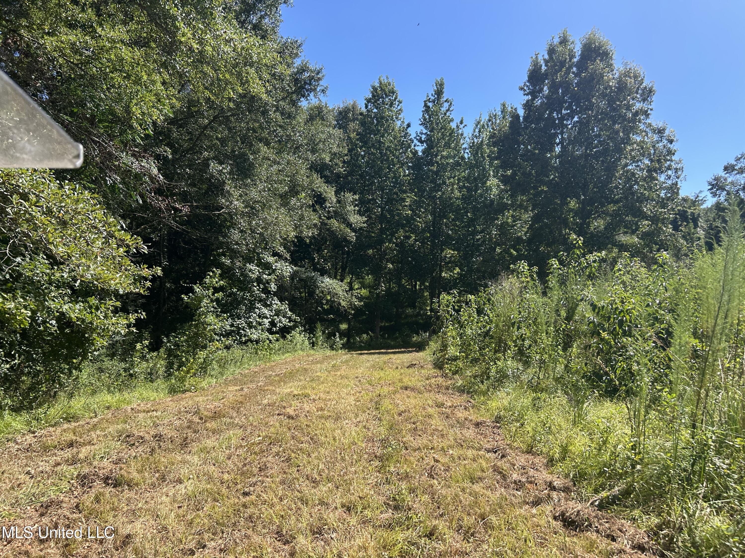 1 Farr Road Edwards, MS 39066 - Photo 65 of 135 IMG_2903