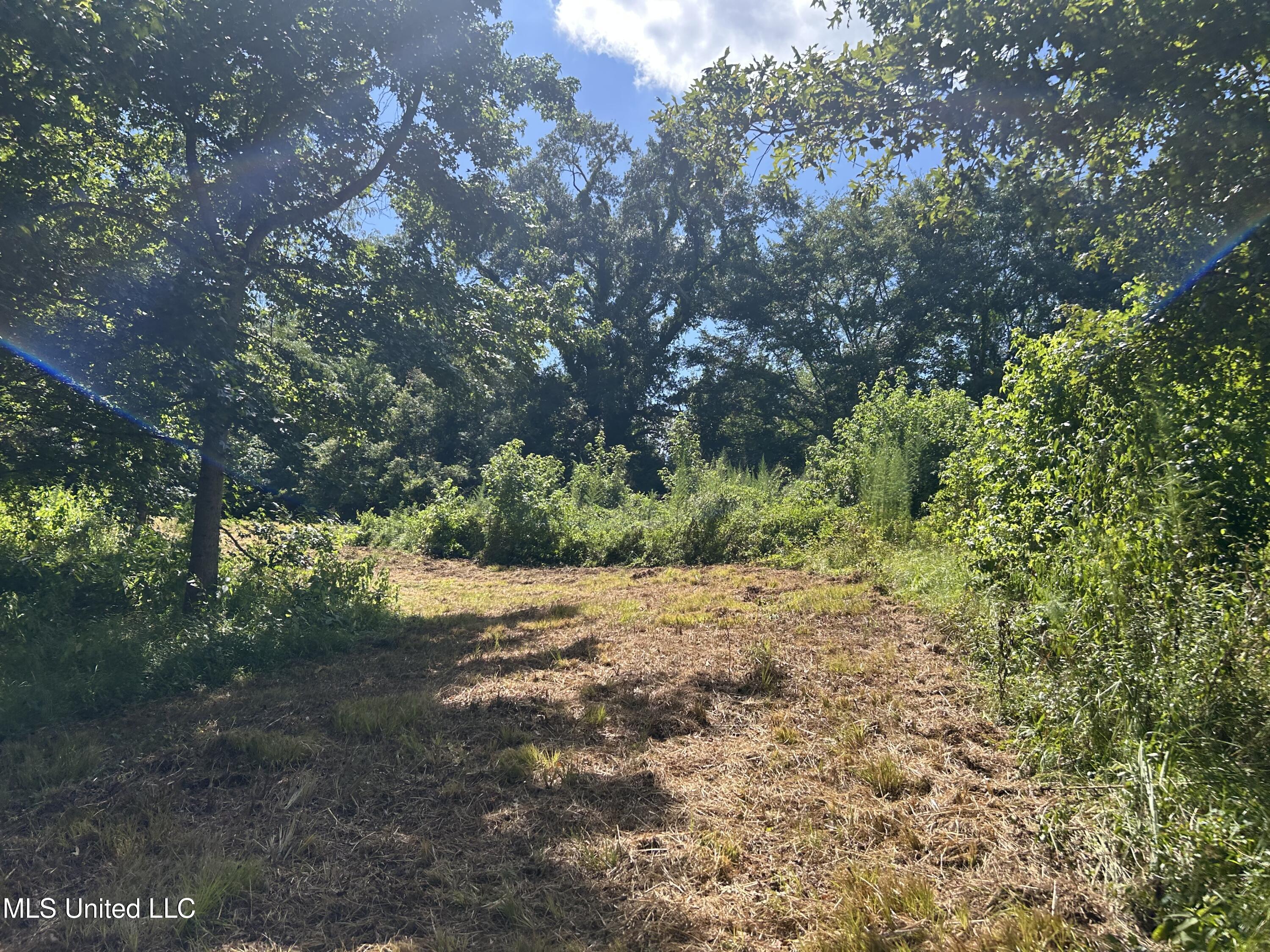 1 Farr Road Edwards, MS 39066 - Photo 66 of 135 IMG_2904